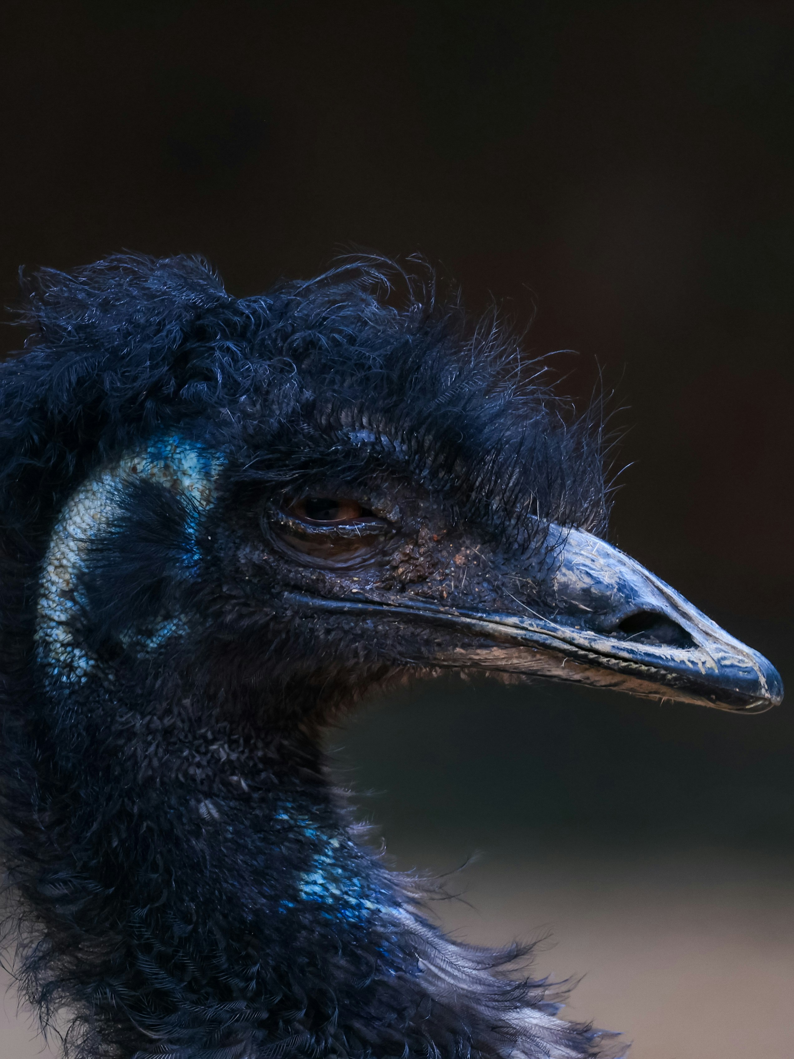 Photo by dickenslin76