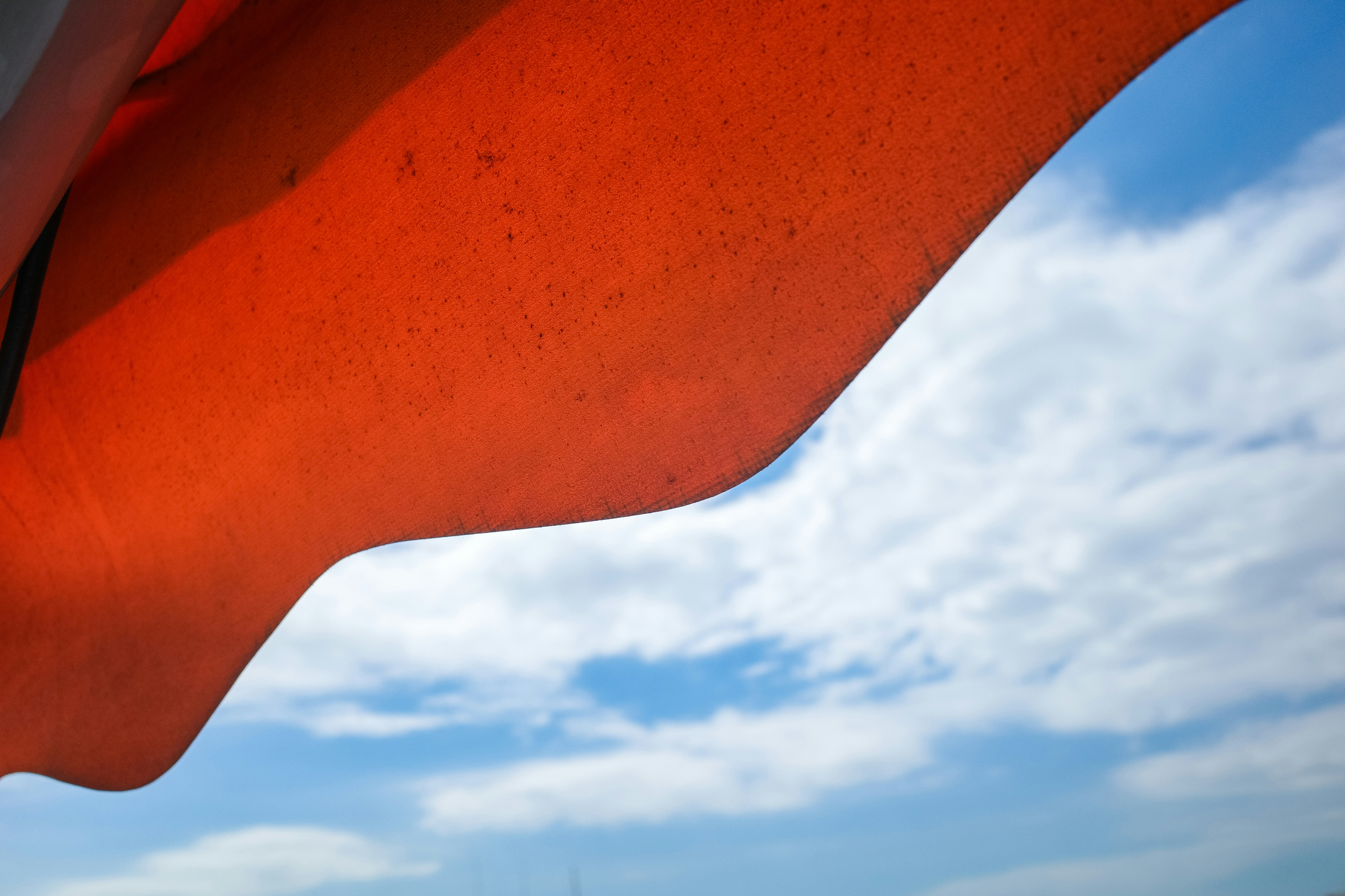 Photo by dickenslin76