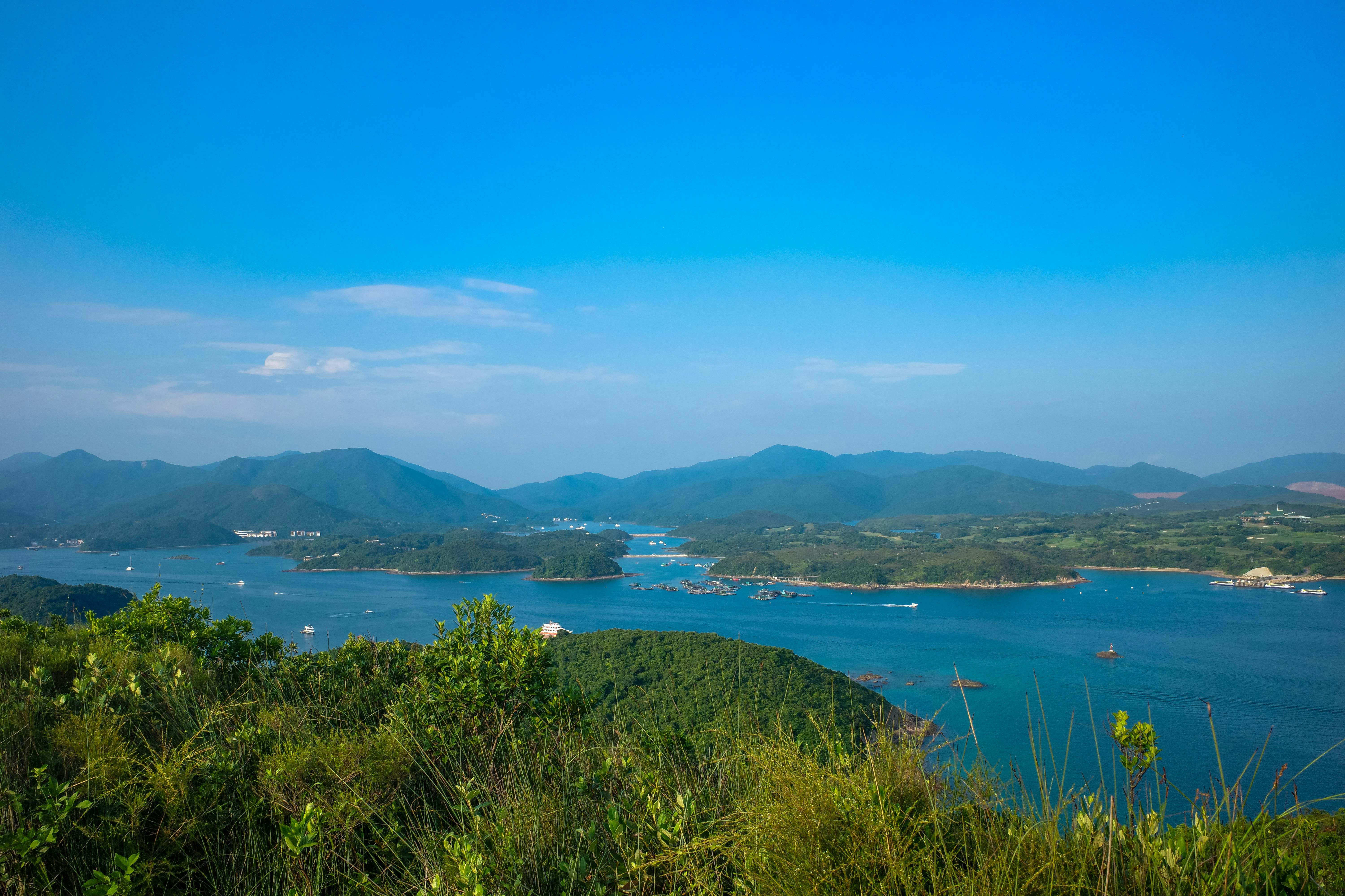 Photo by dickenslin76