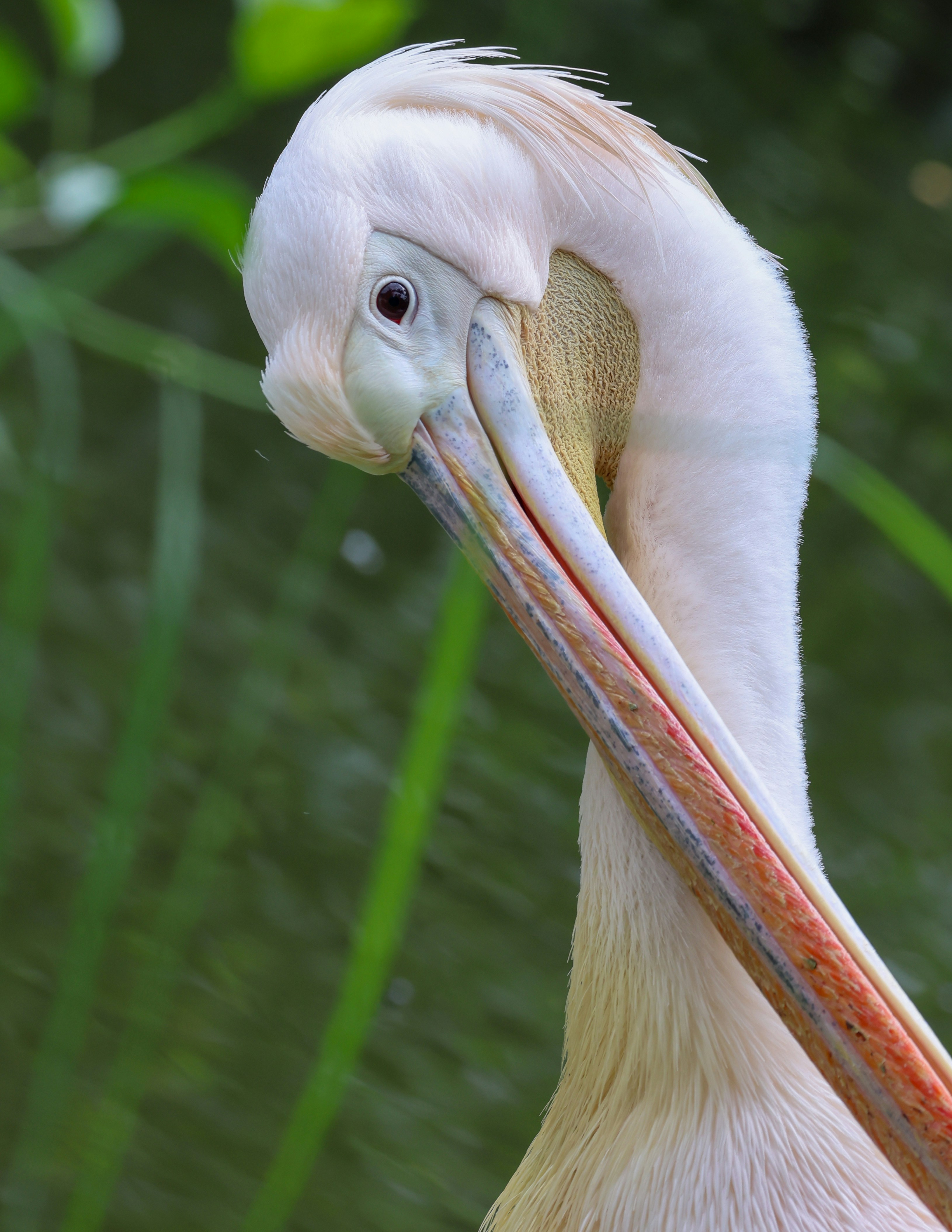 Photo by dickenslin76