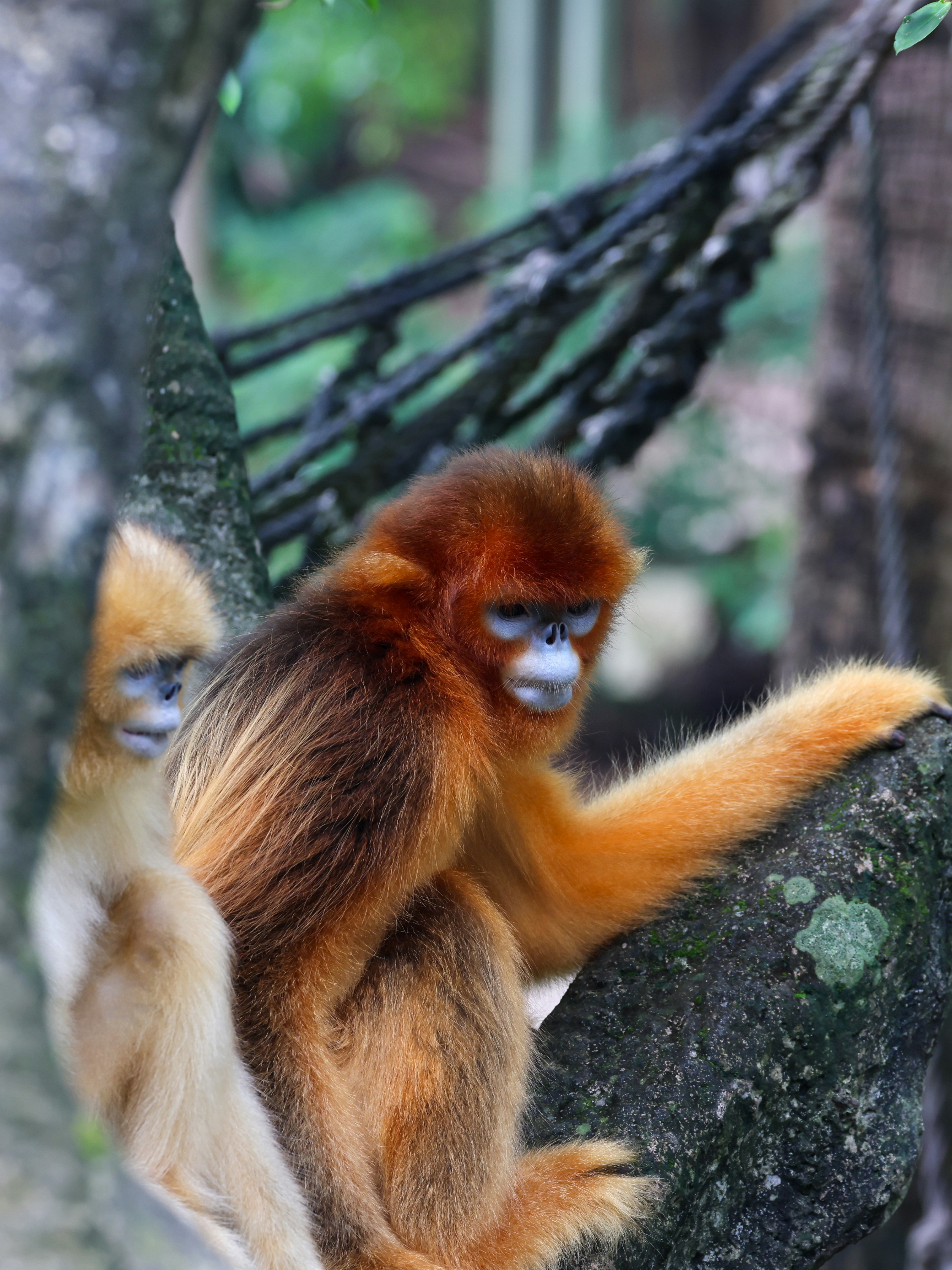 Photo by dickenslin76