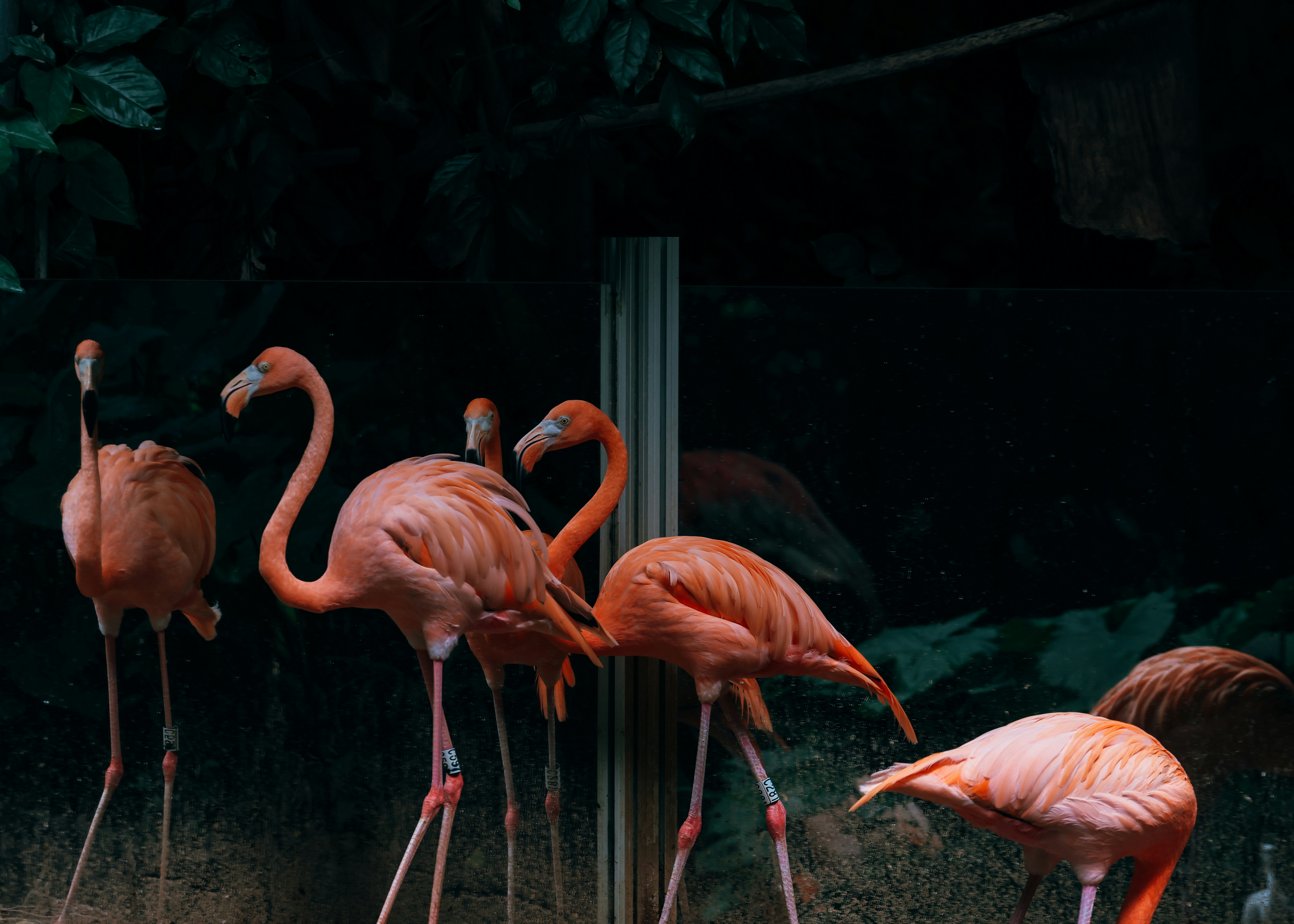 Photo by dickenslin76