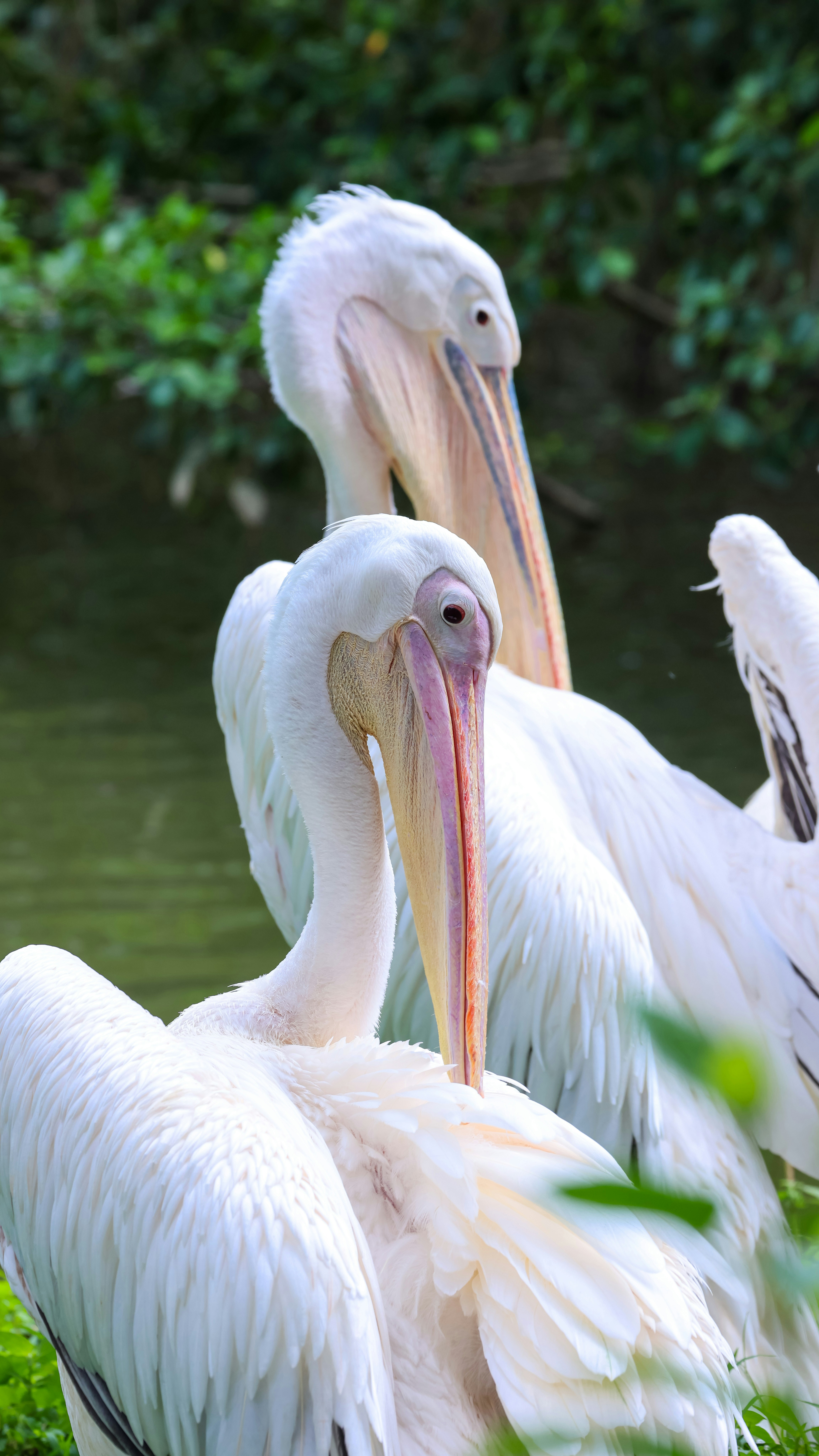 Photo by dickenslin76