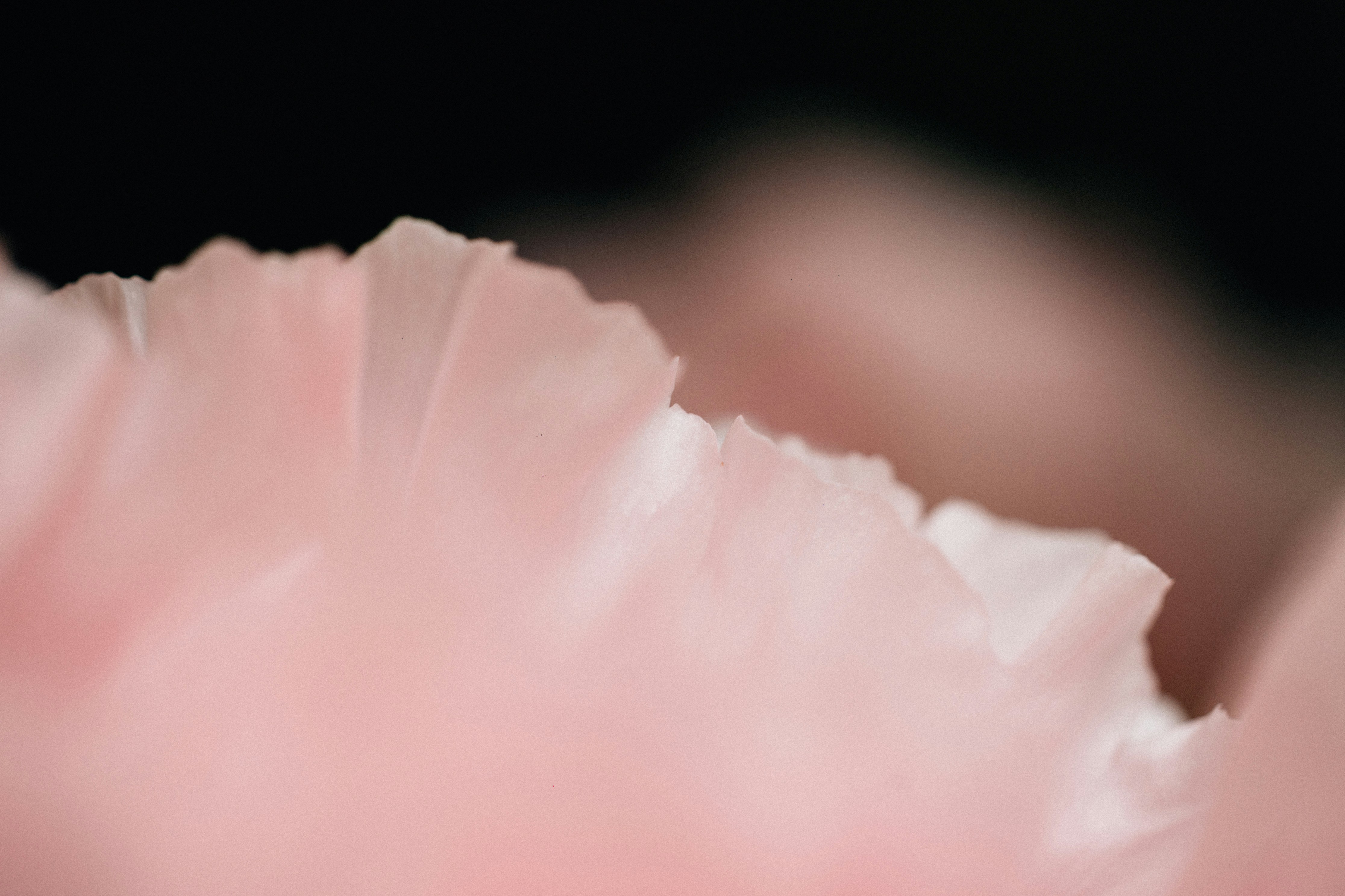 Photo by tsuyoshikozu