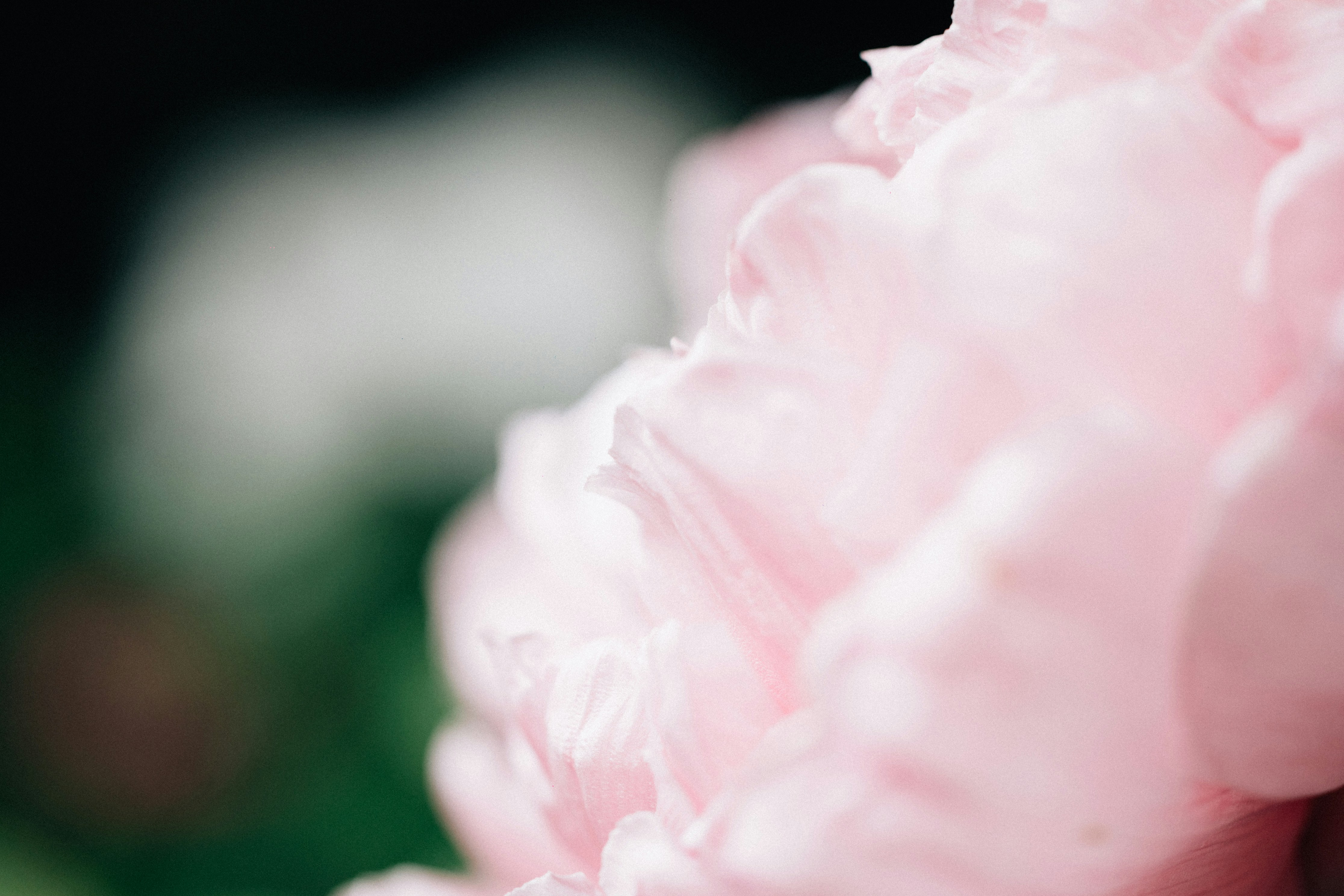 Photo by tsuyoshikozu