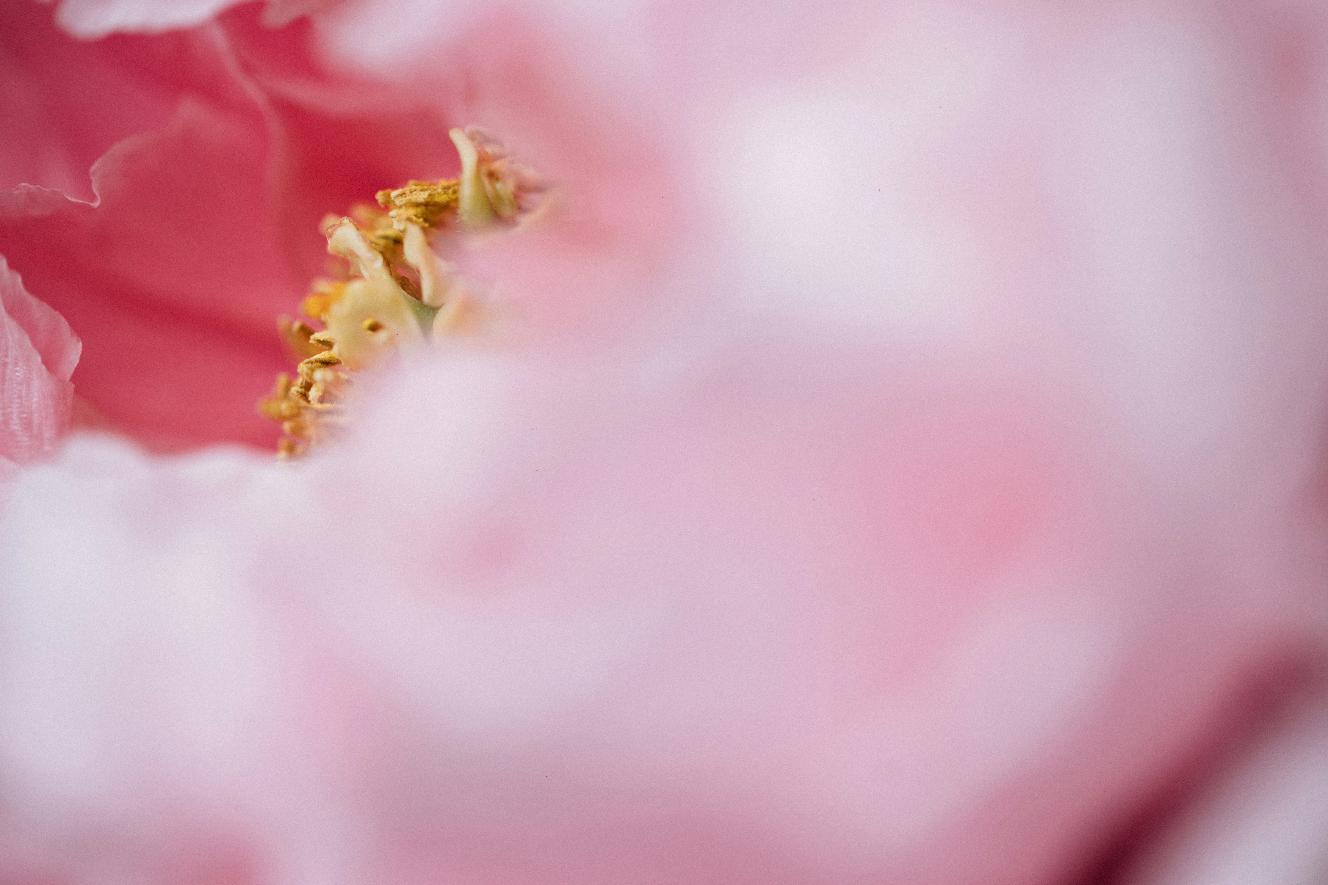 Photo by tsuyoshikozu