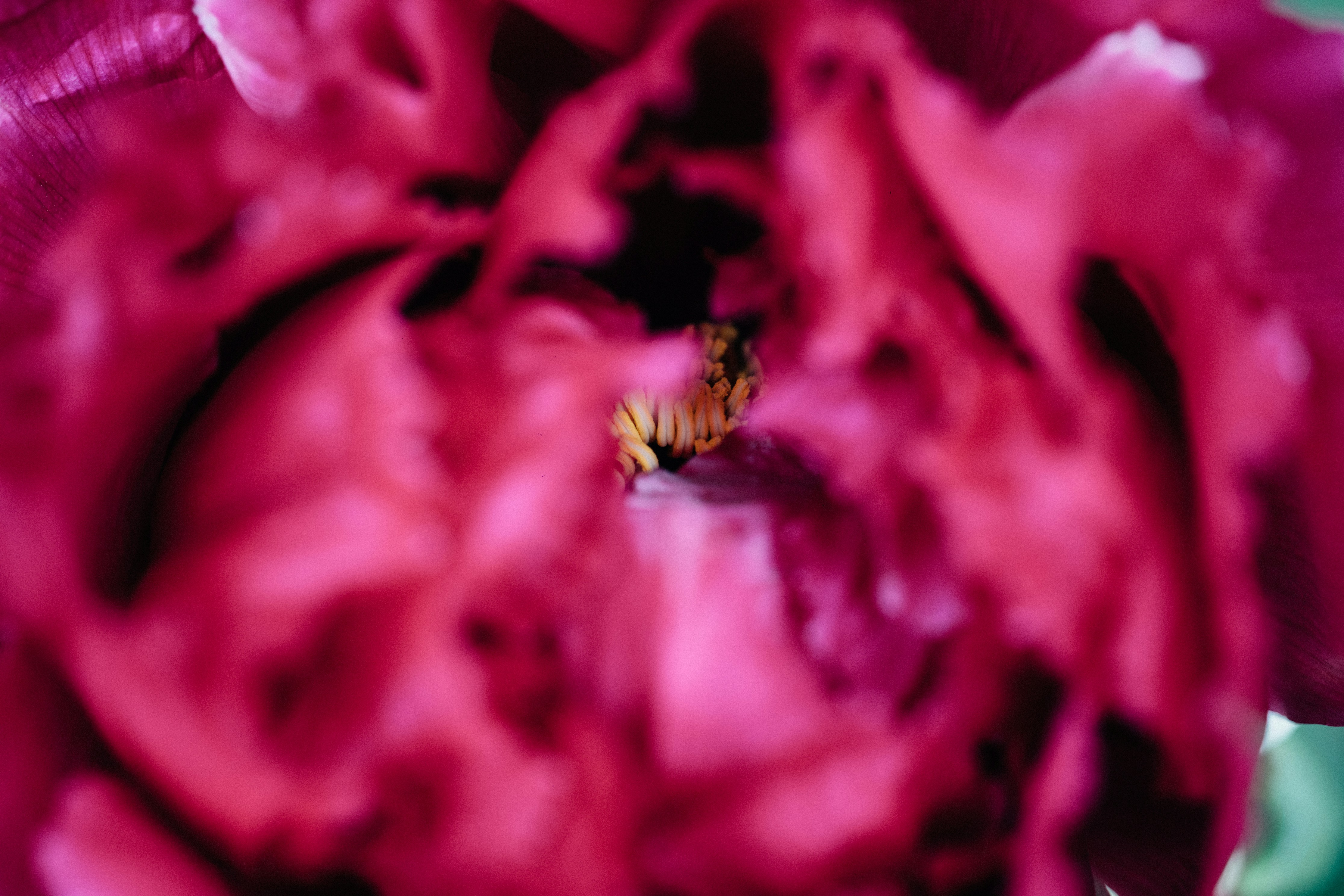 Photo by tsuyoshikozu