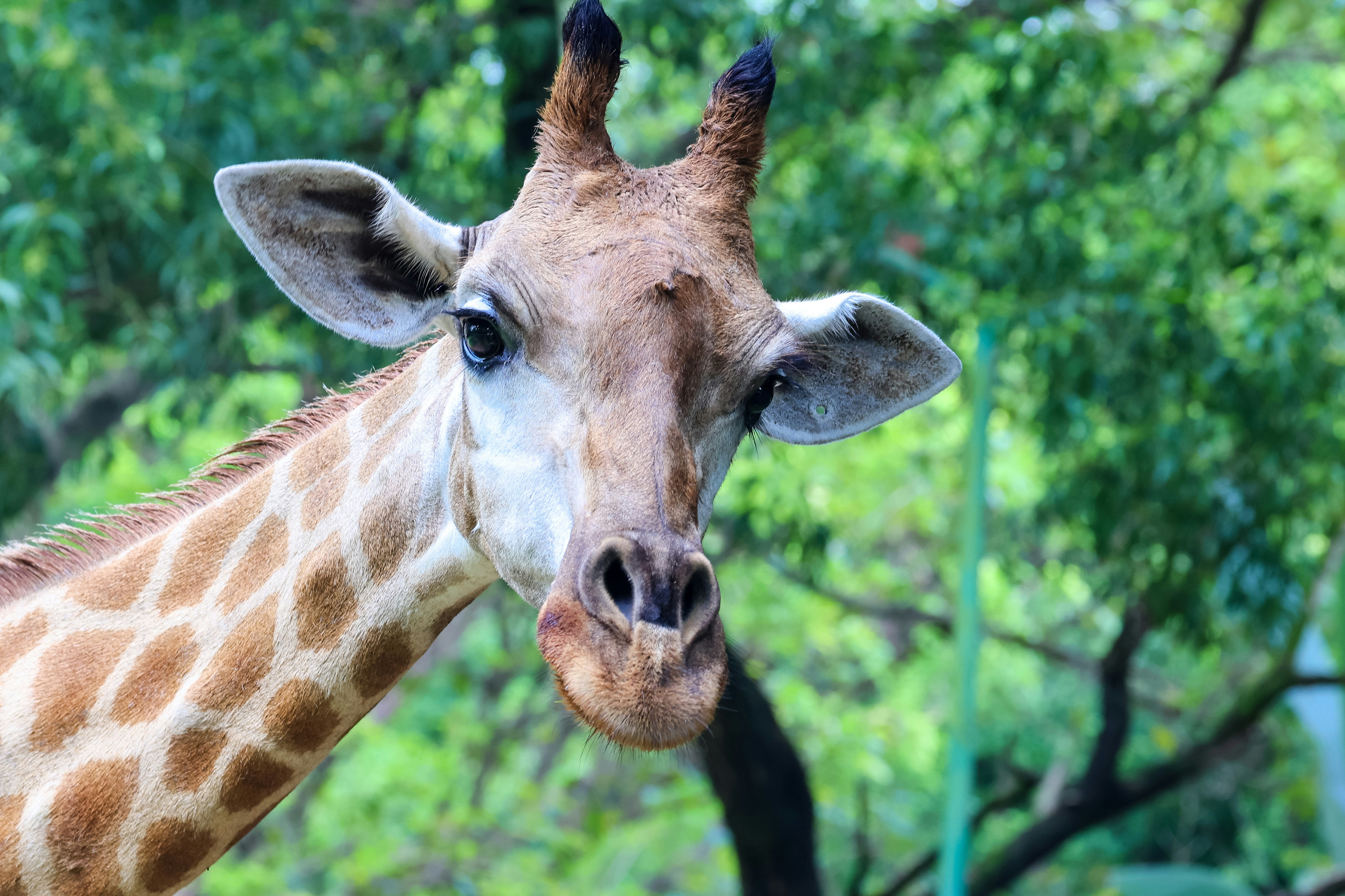 Photo by dickenslin76