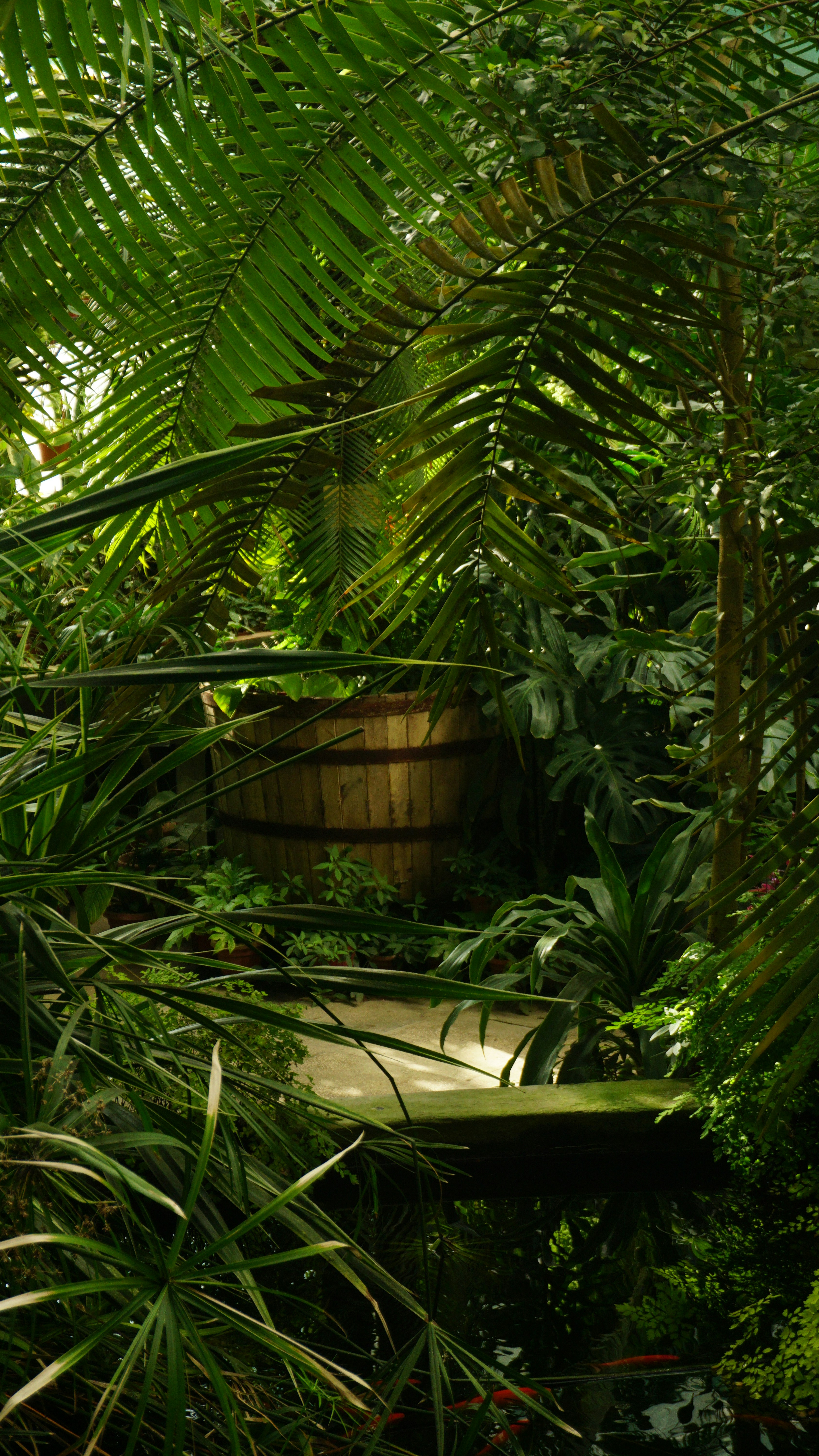 Lush private conservatory at dusk with dramatic shadows, dense emerald greenery, dim golden hour light, atmospheric solitude