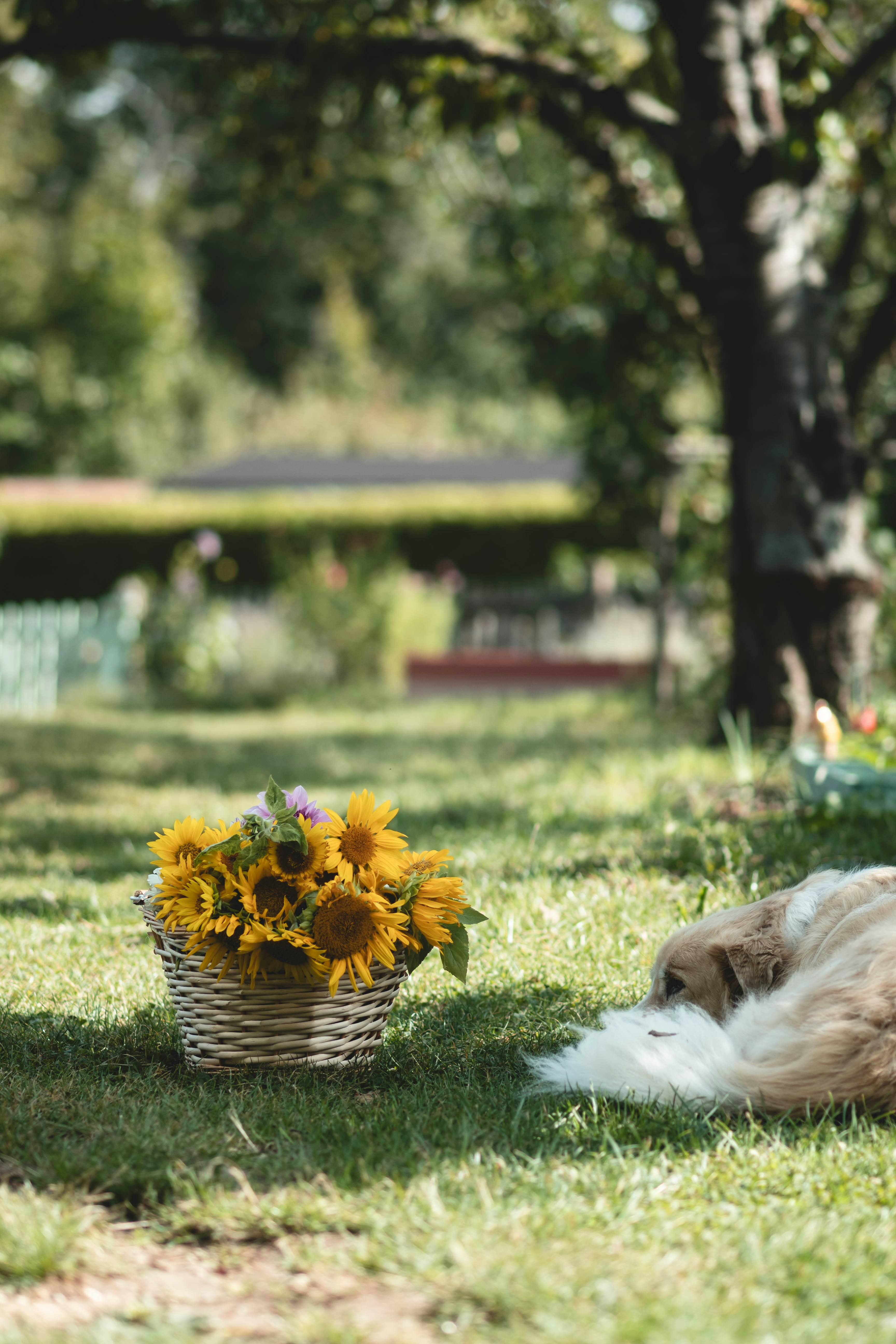 Photo by eileen_kummer