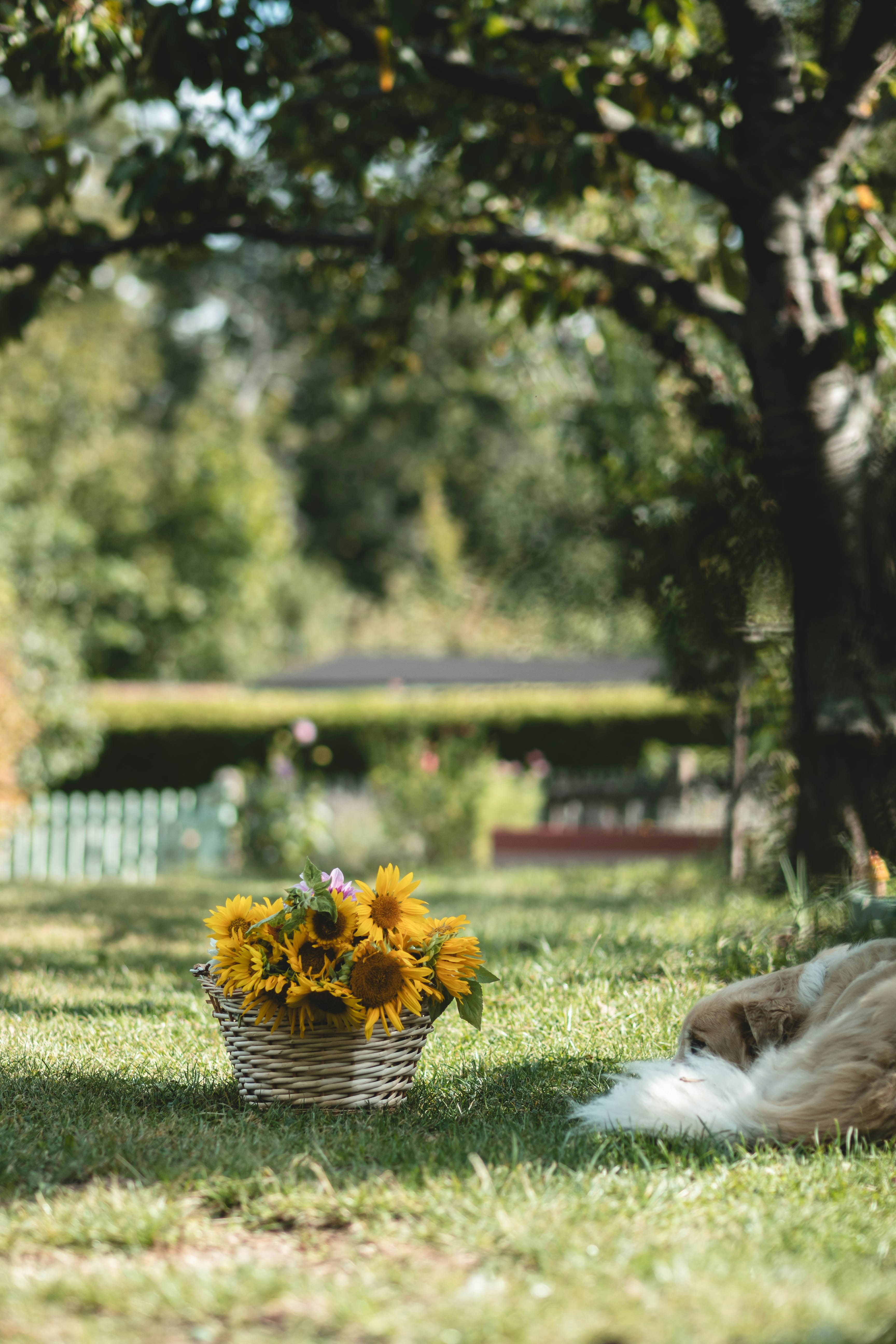 Photo by eileen_kummer