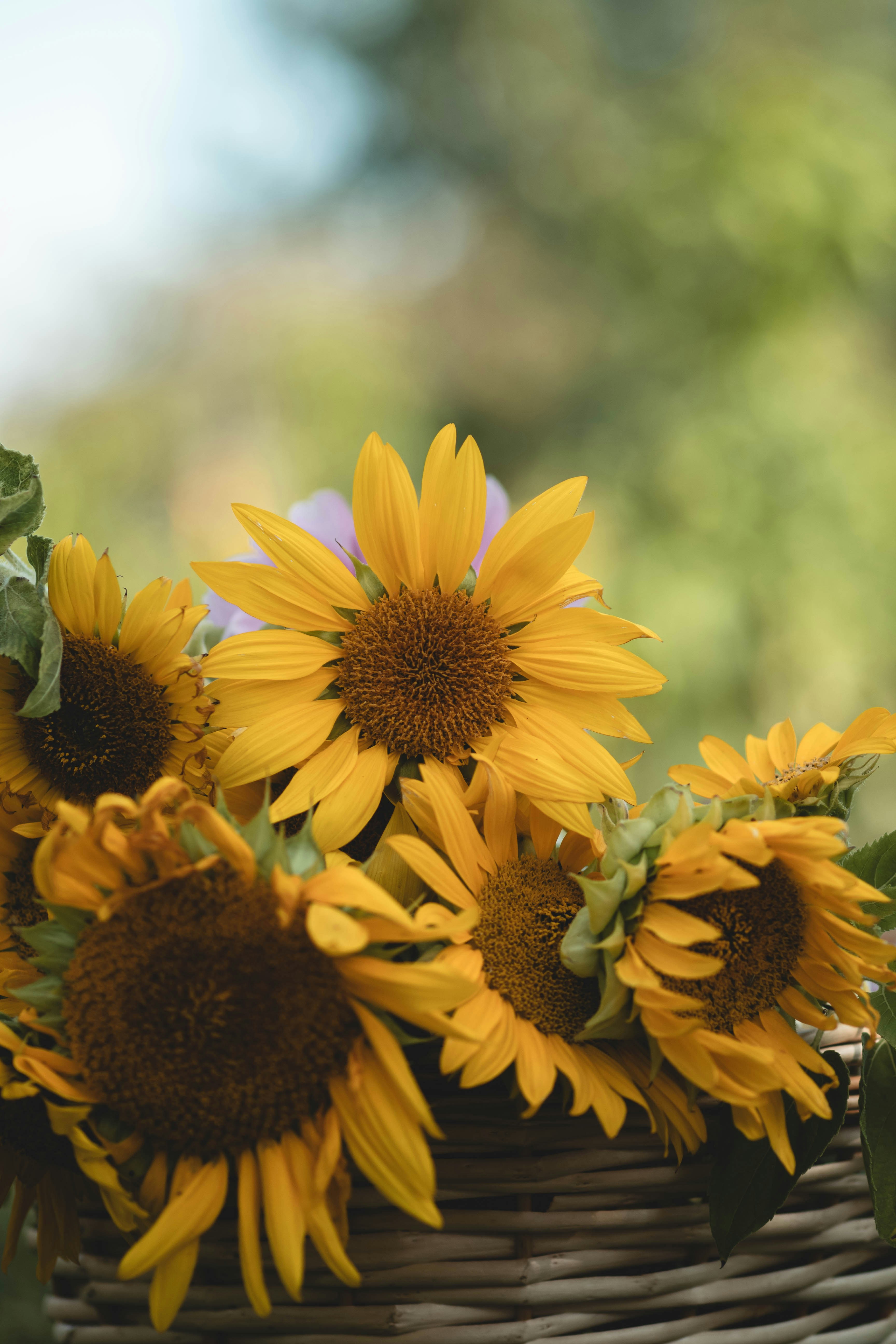 Photo by eileen_kummer