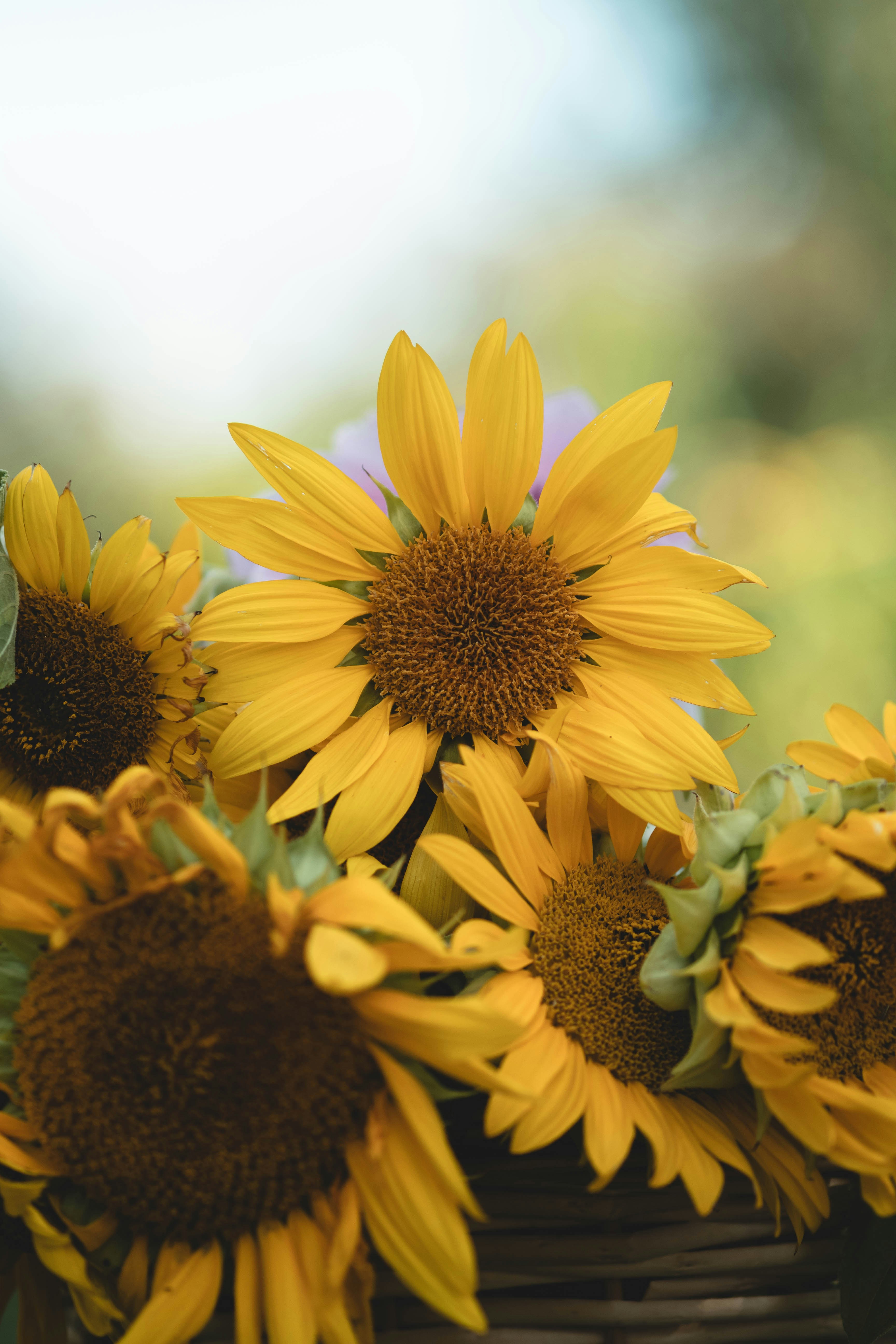 Photo by eileen_kummer