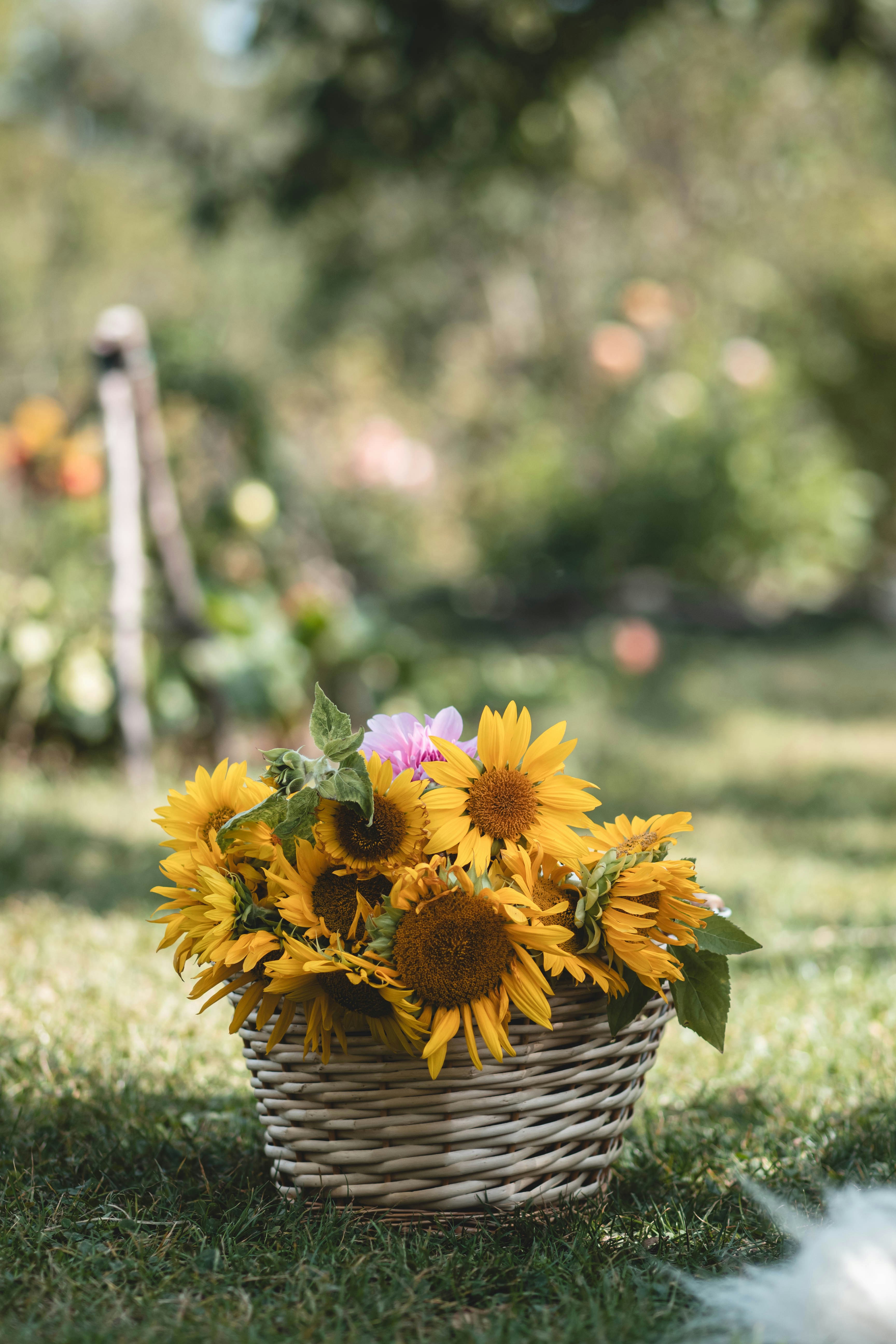 Photo by eileen_kummer