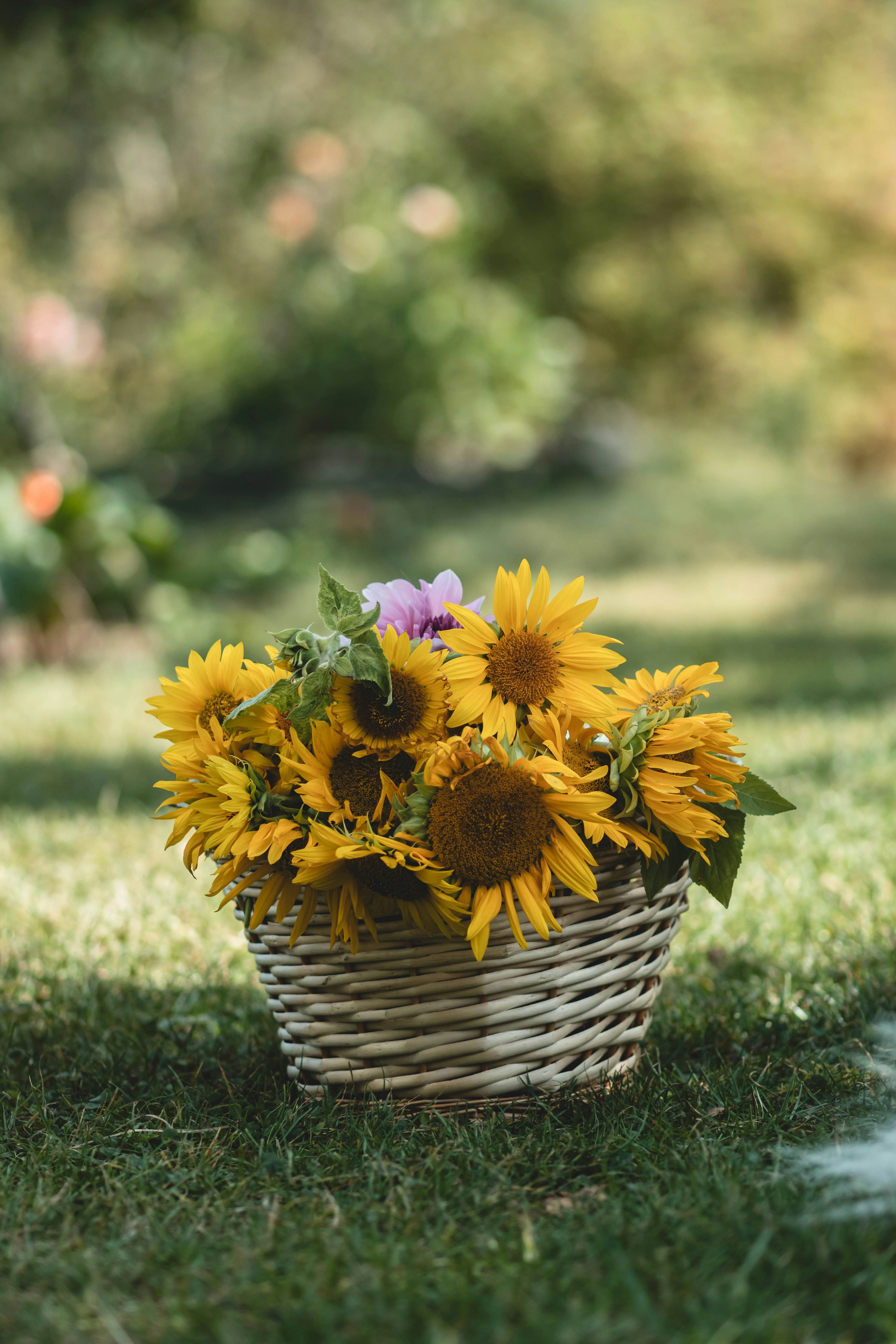 Photo by eileen_kummer