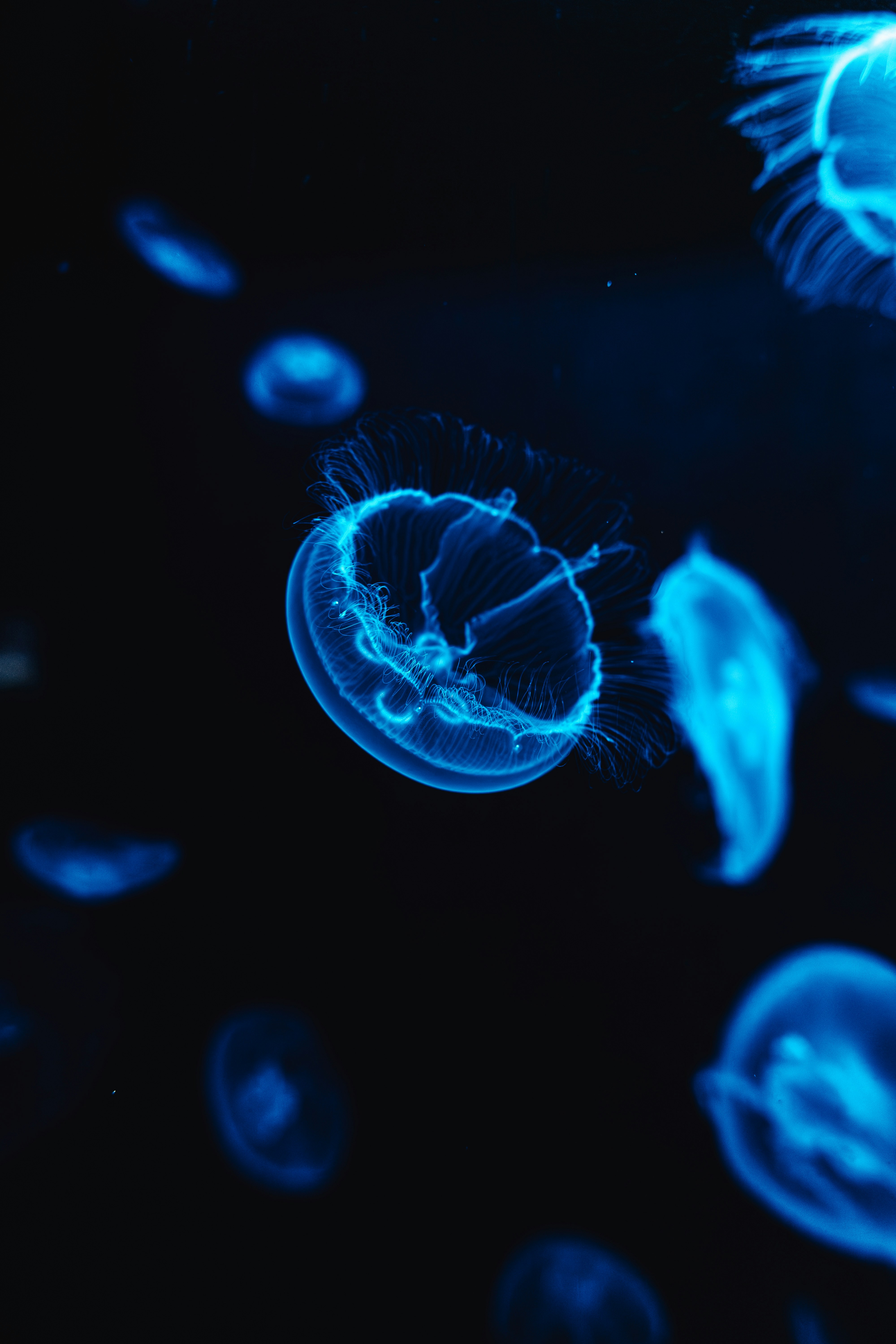 Photo by jerrografie