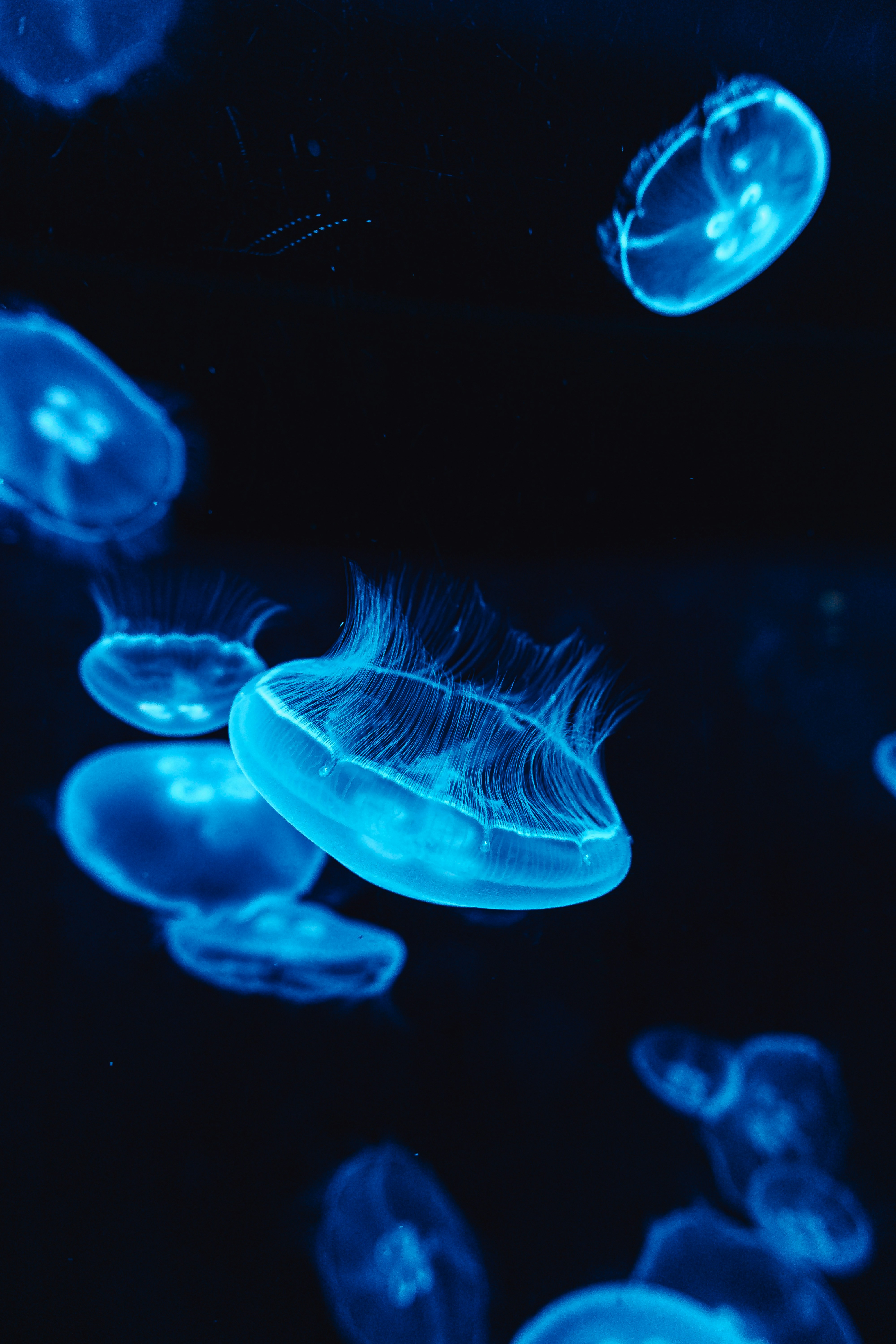 Photo by jerrografie