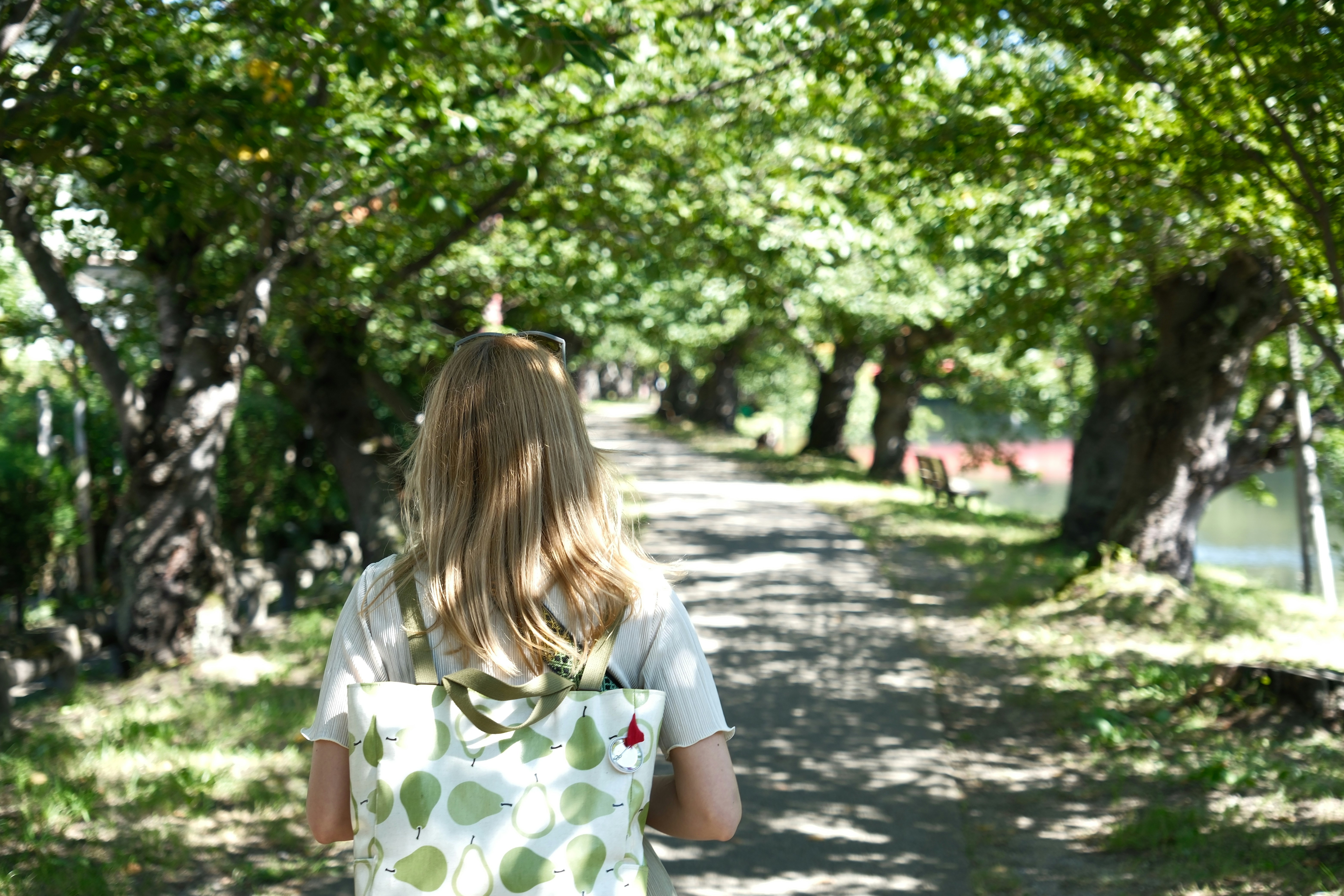 Photo by seiya_maeda