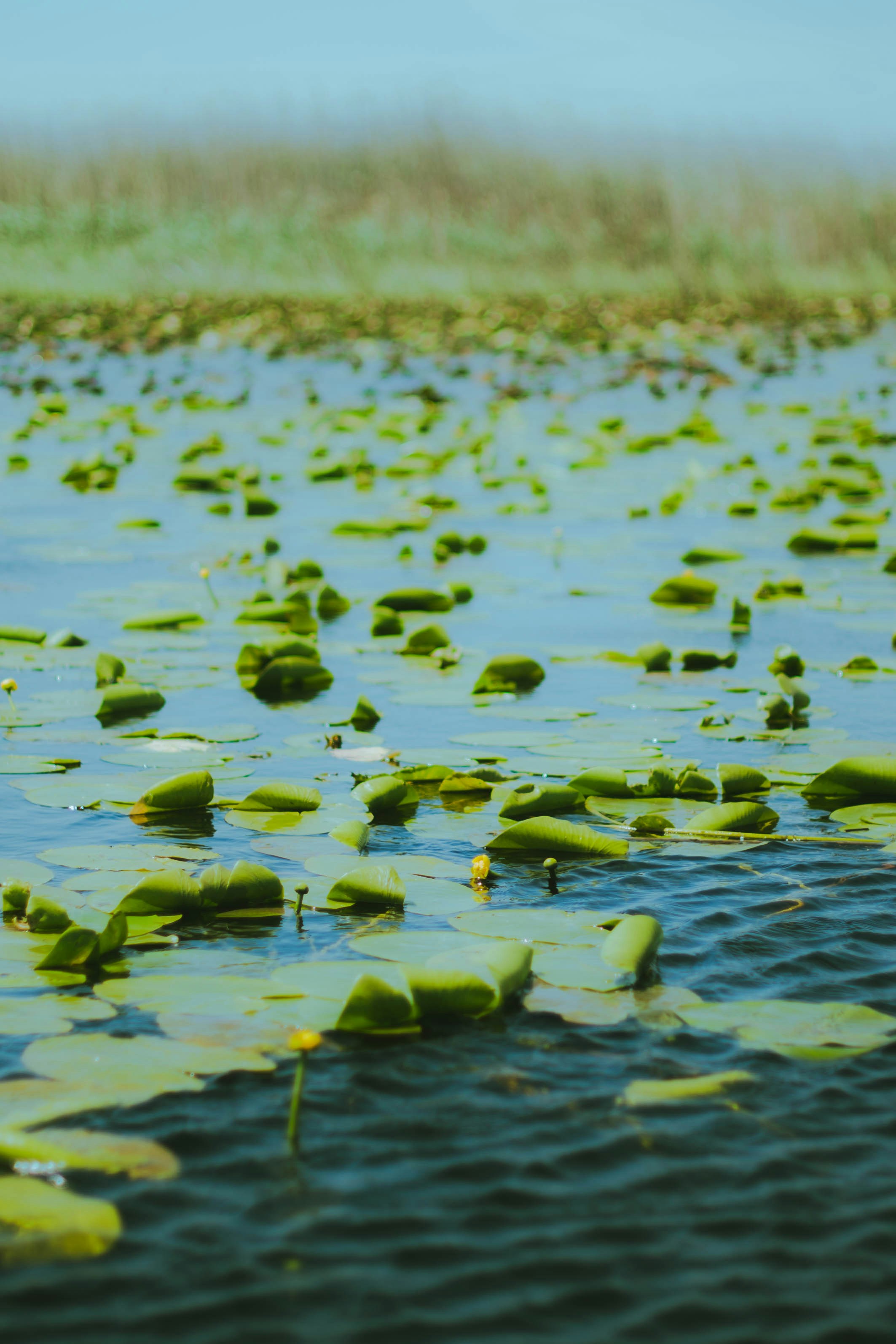 Photo by thedoublebi