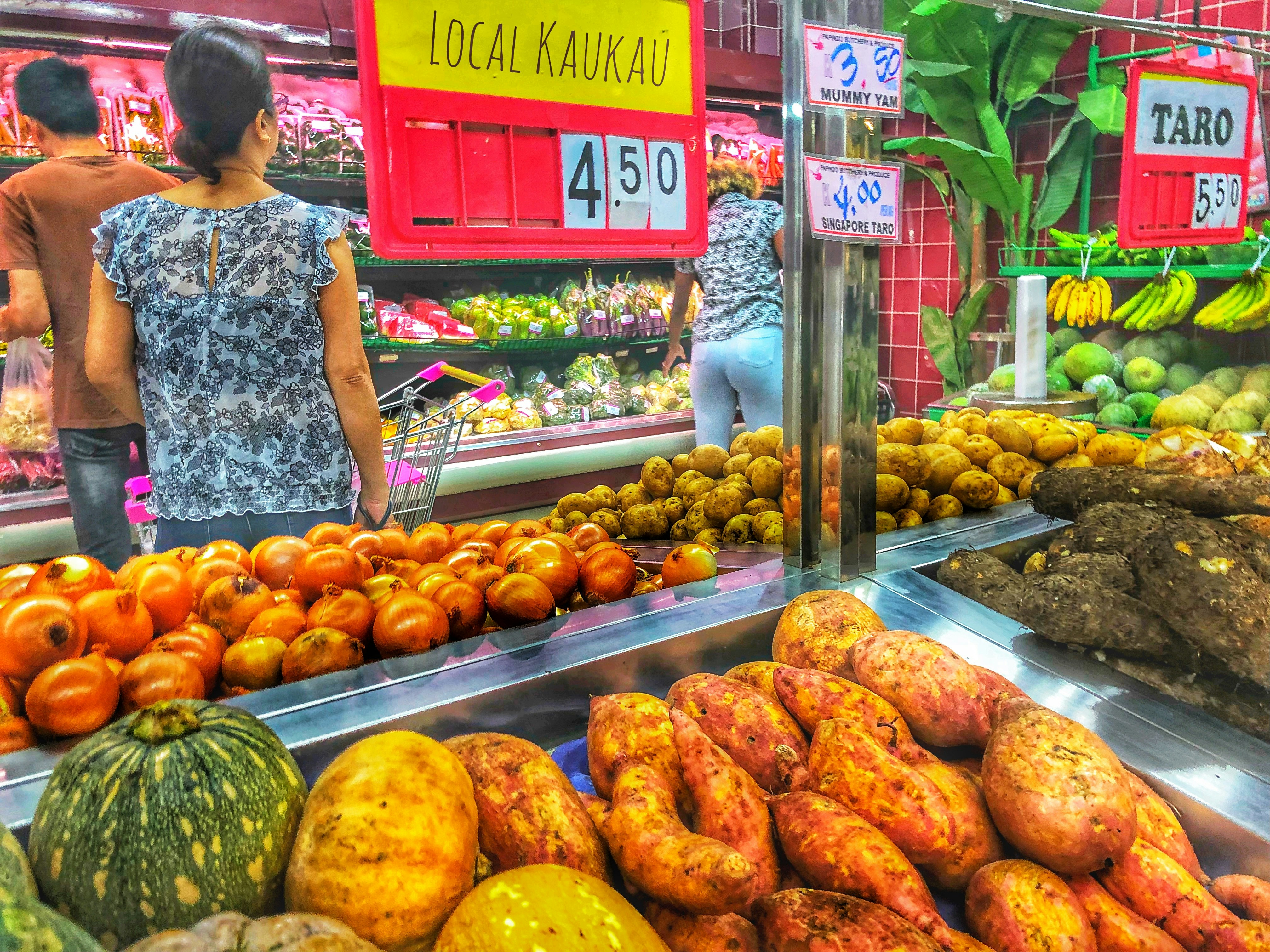 MVF Project overview