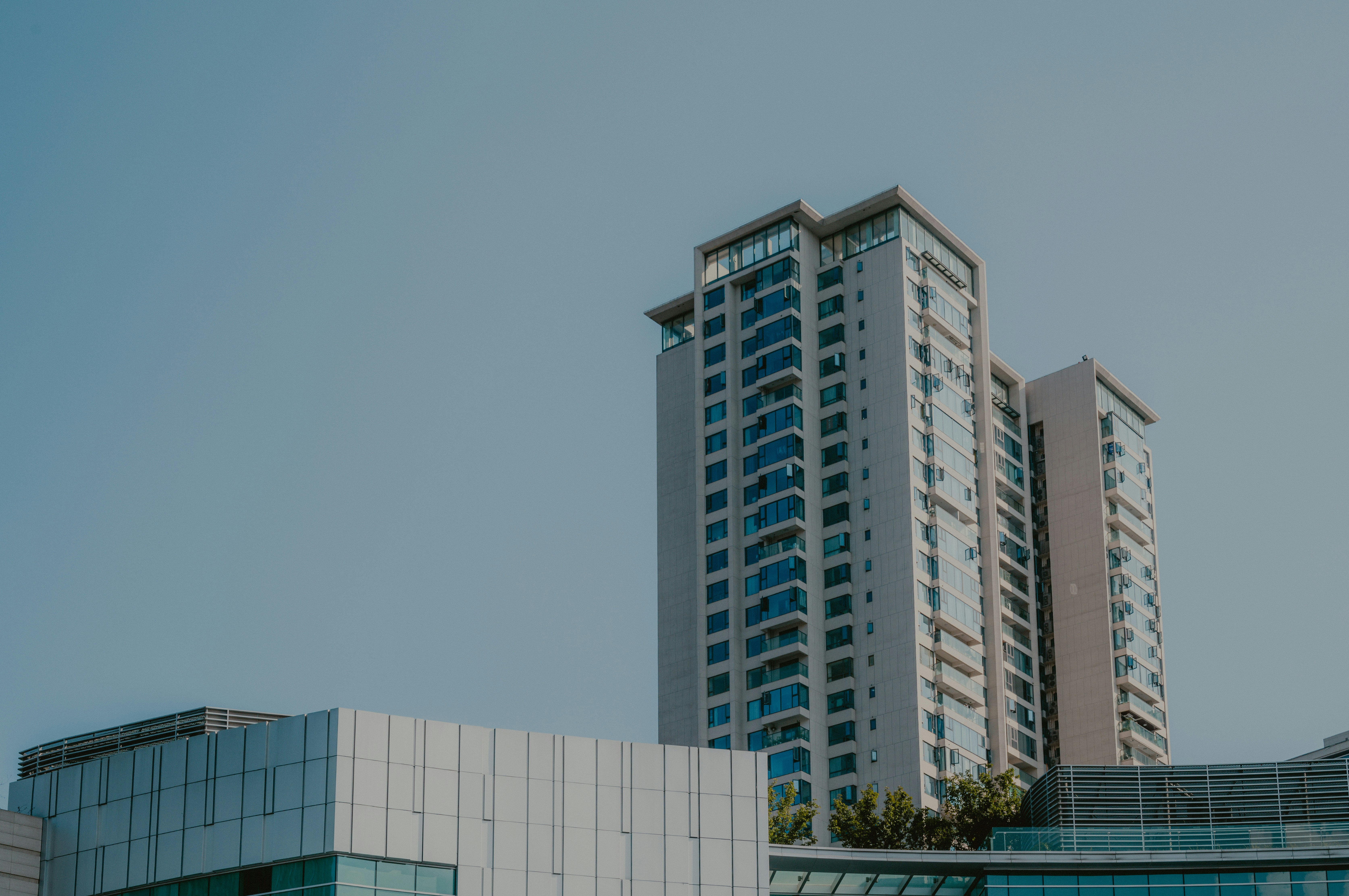 Photo by xingchenyan