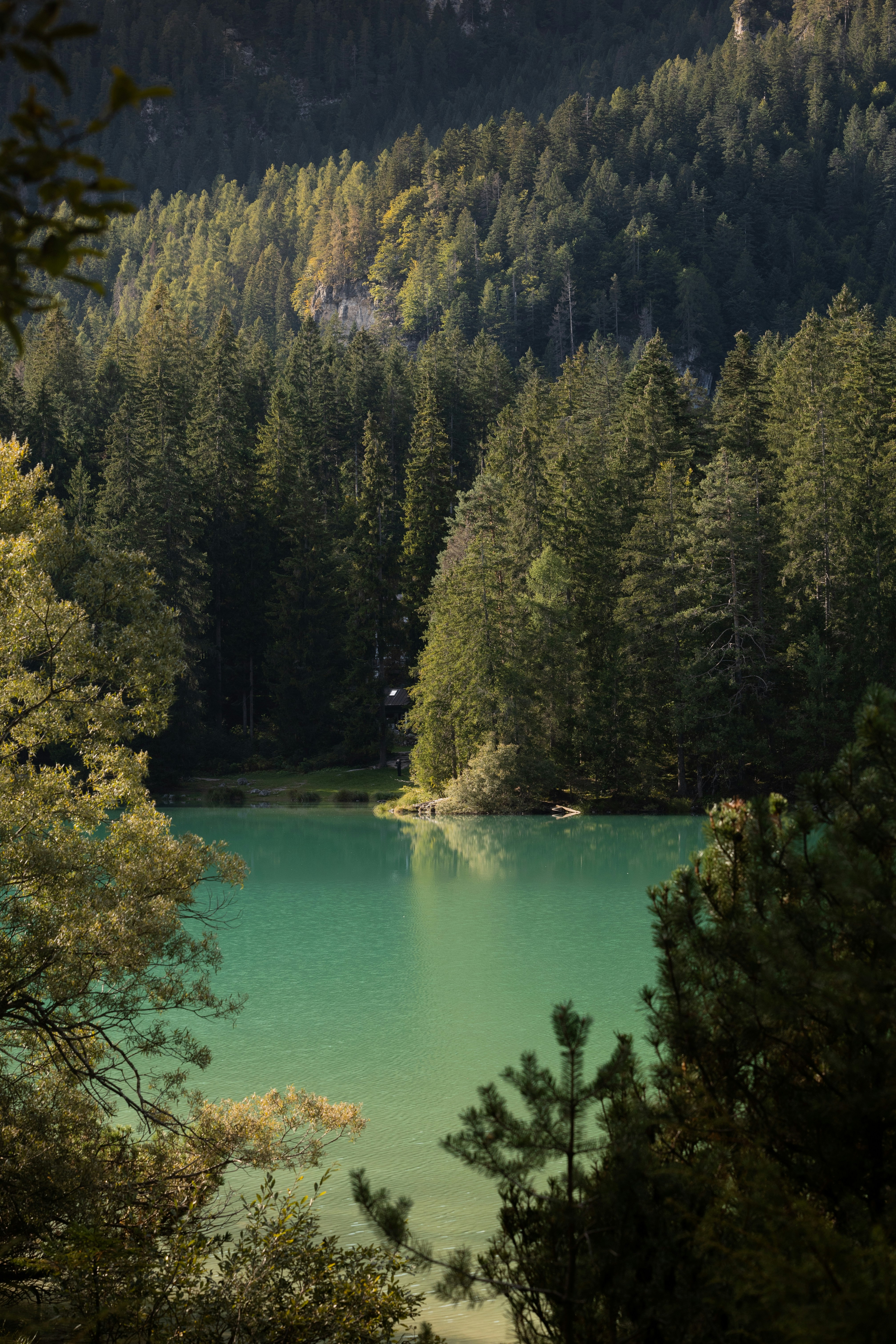 Photo by lauralezman