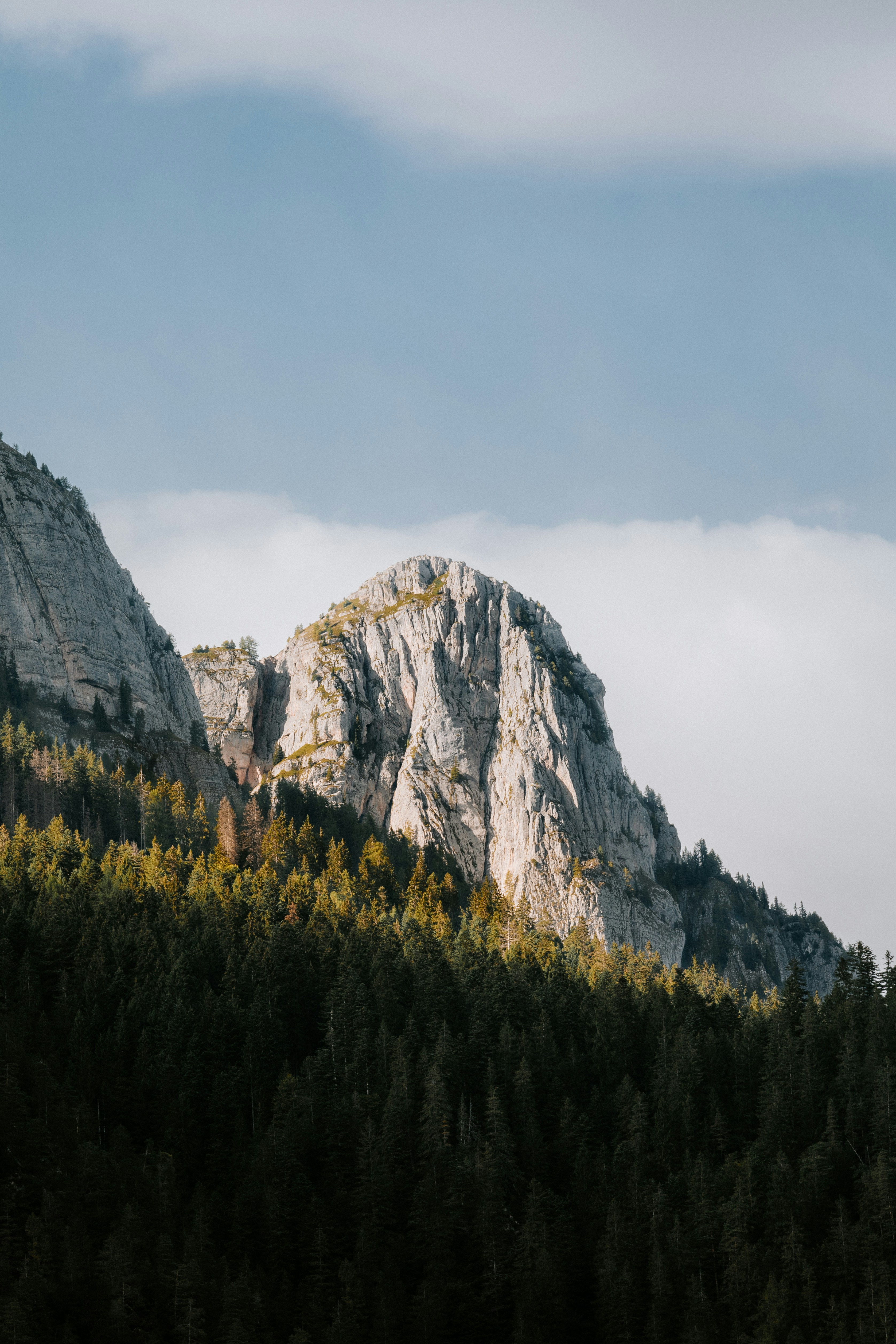 Photo by lauralezman