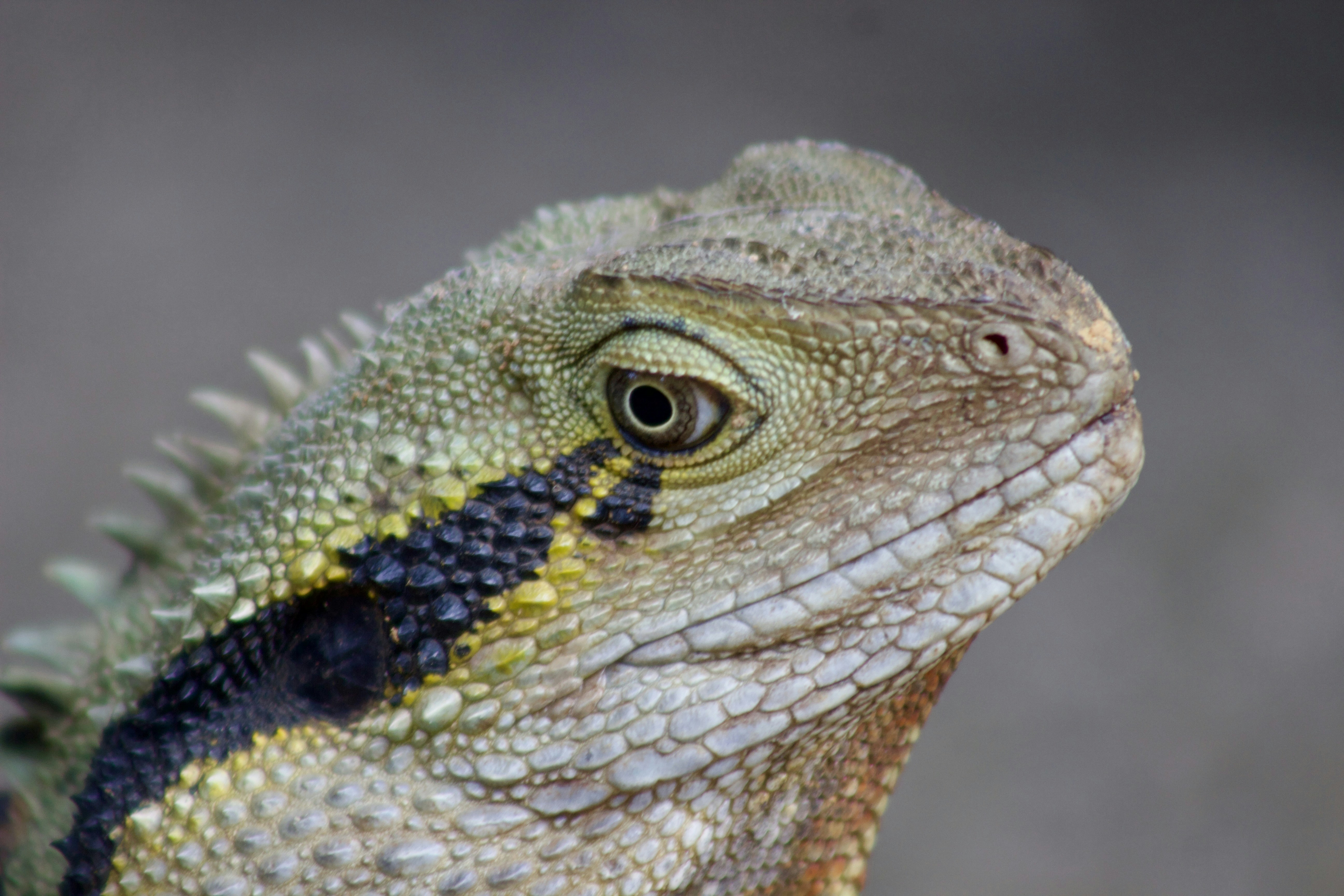 Photo by the_afternoon_photographer