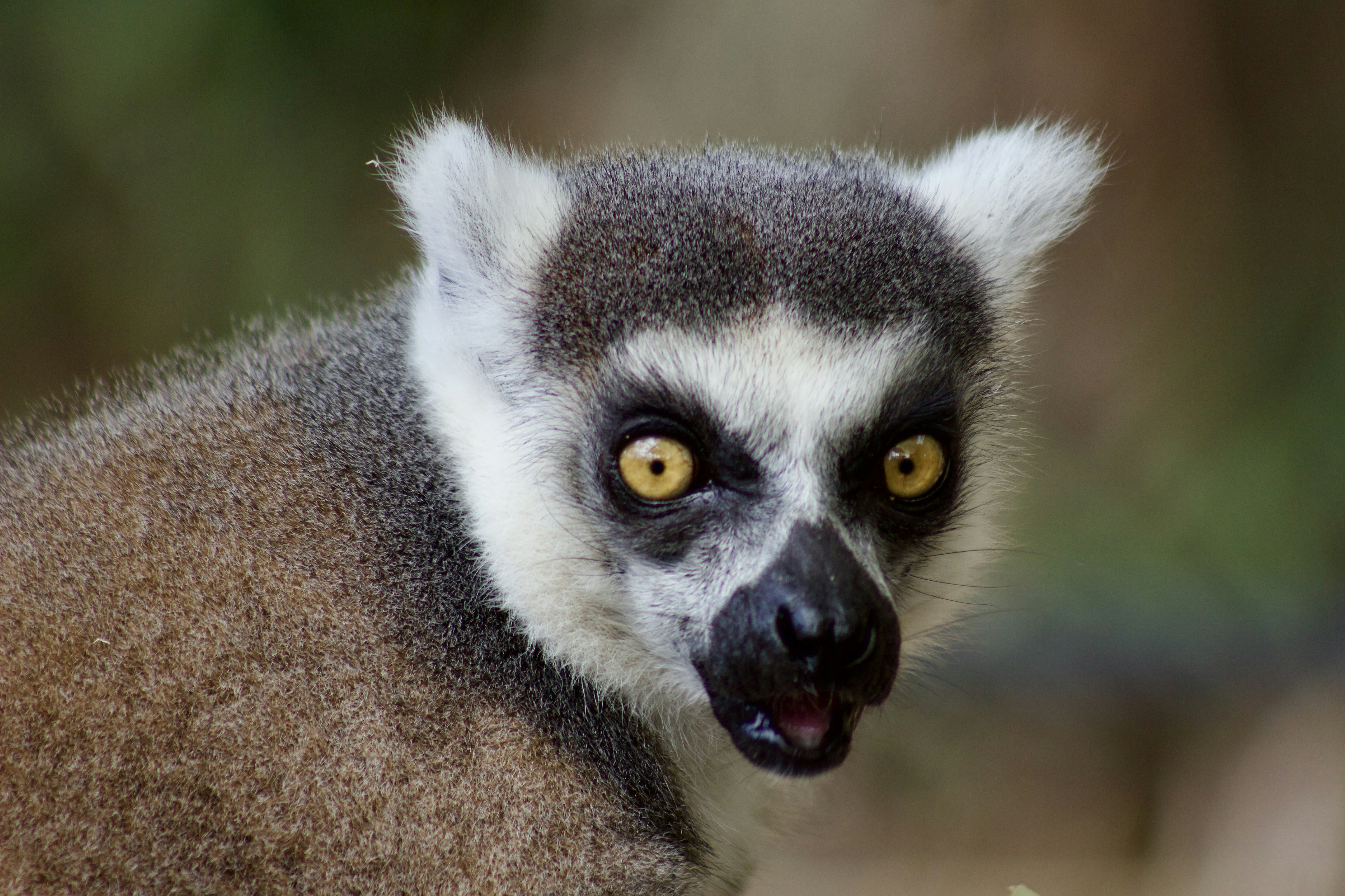 Photo by the_afternoon_photographer