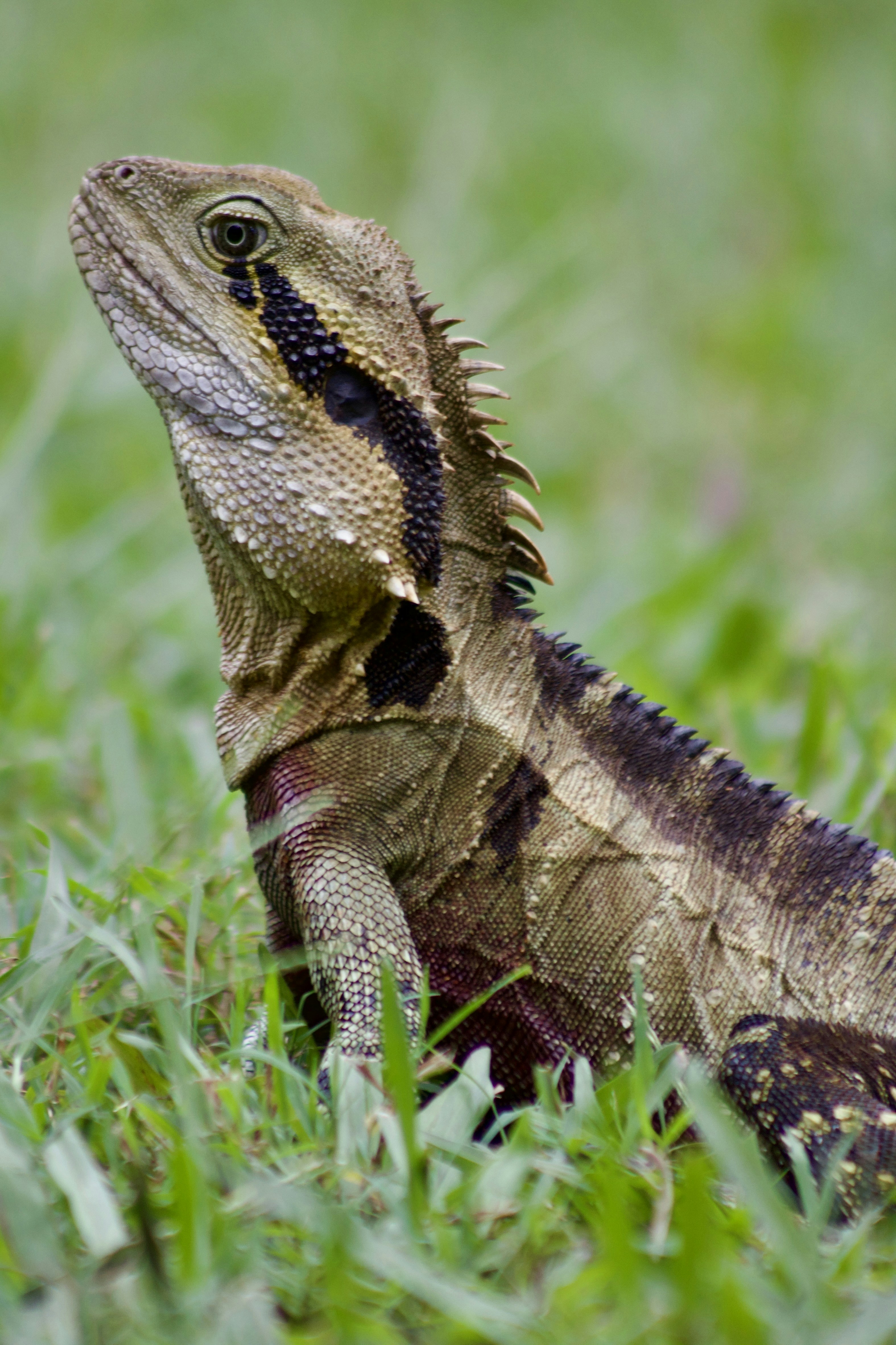 Photo by the_afternoon_photographer