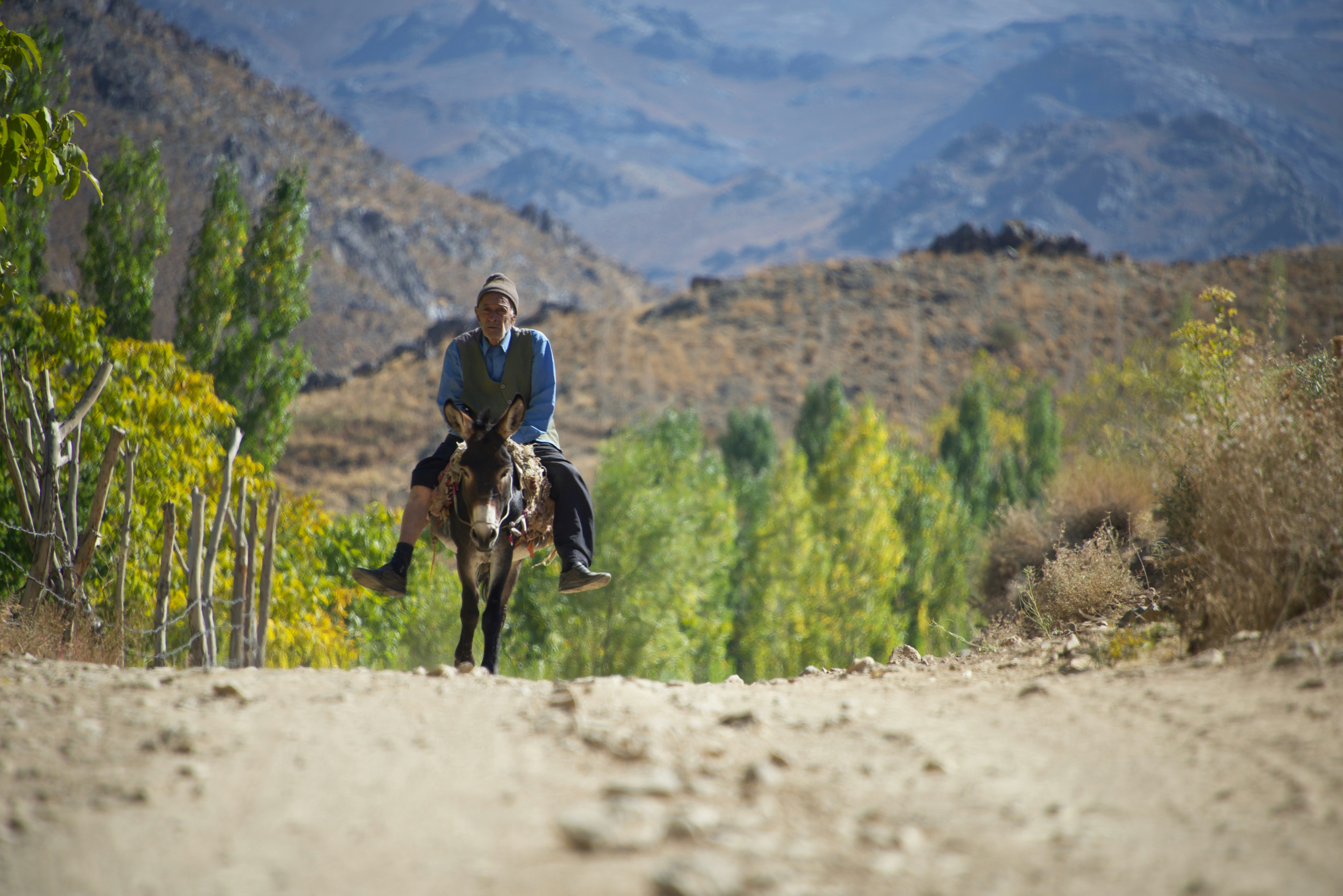 Photo by alisinanaghibi