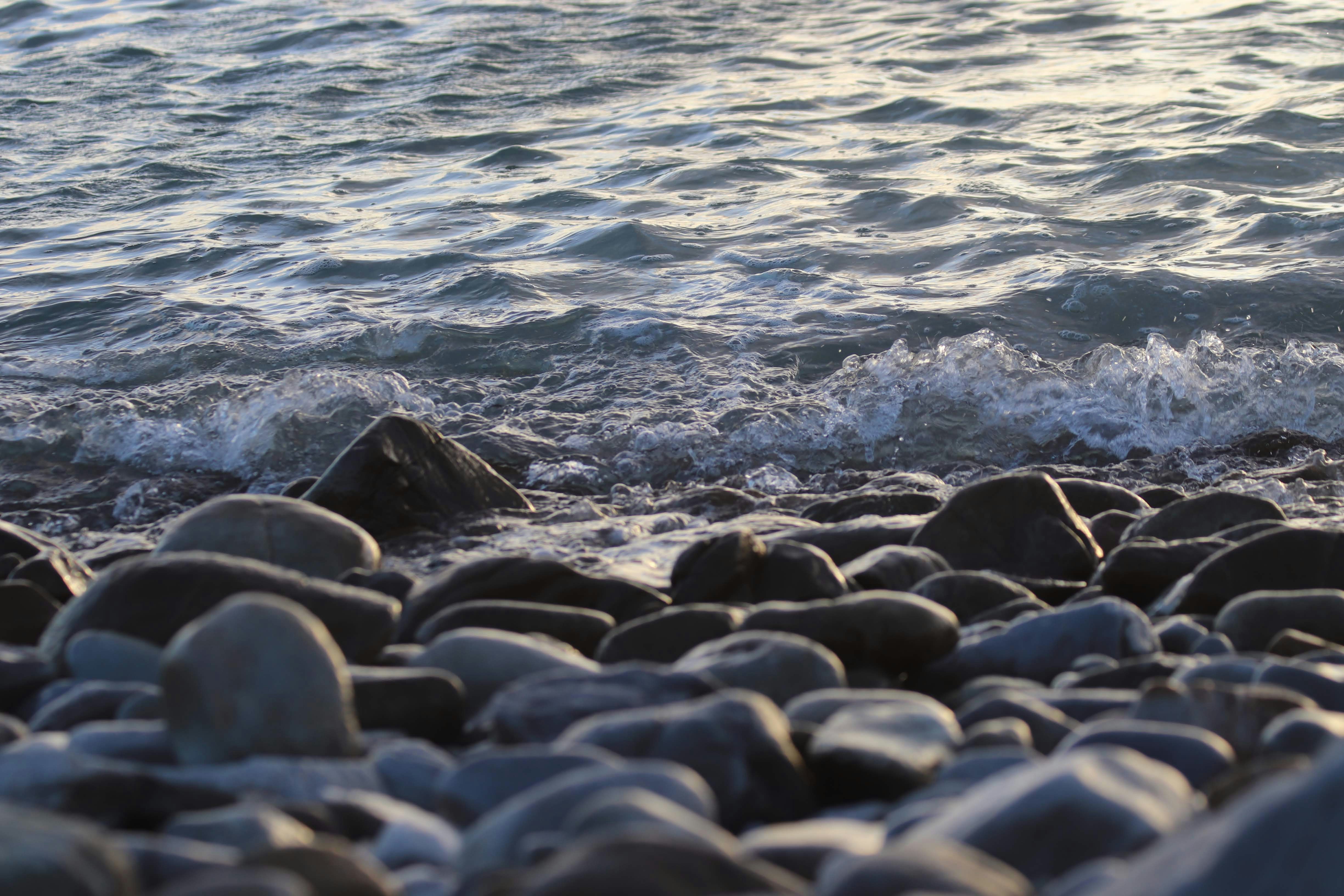 Photo by rori_cornelius