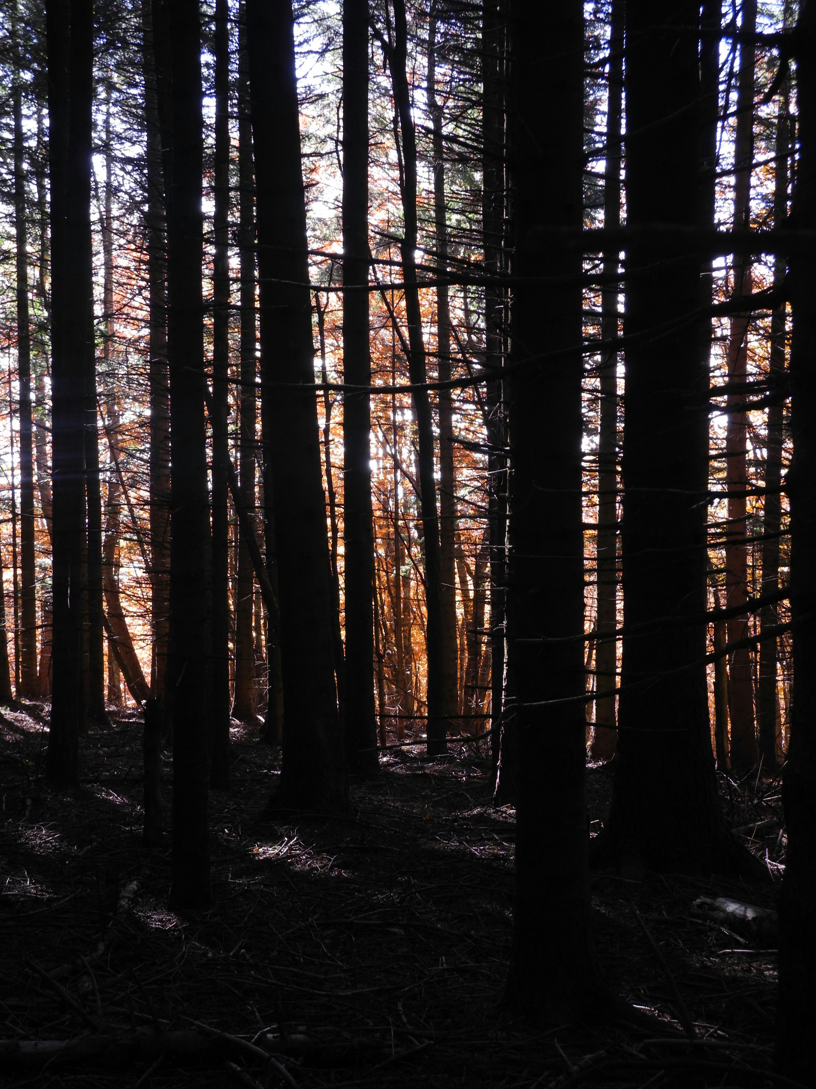 Photo by alessandro_77