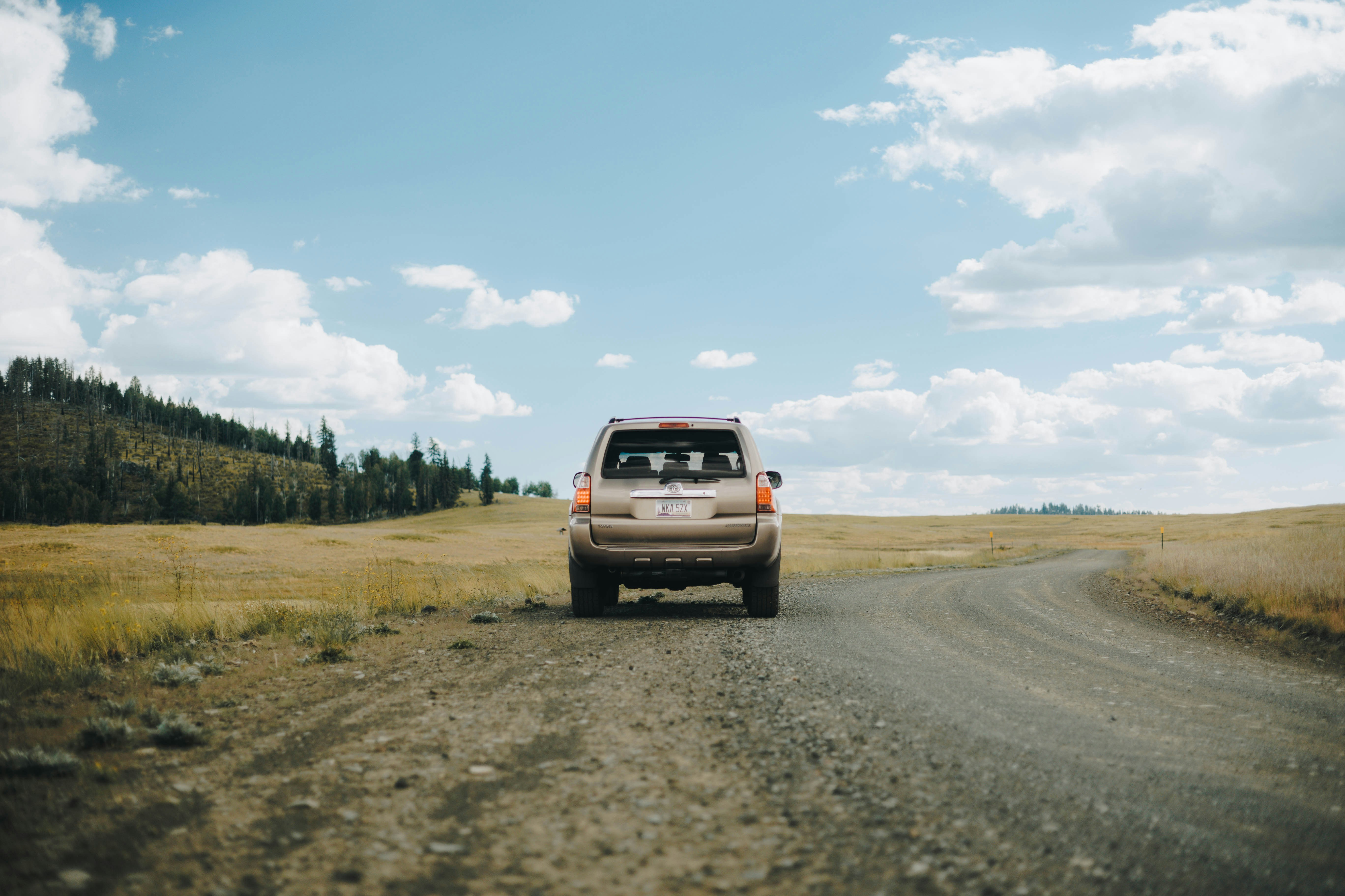 Photo by jeffersonsees