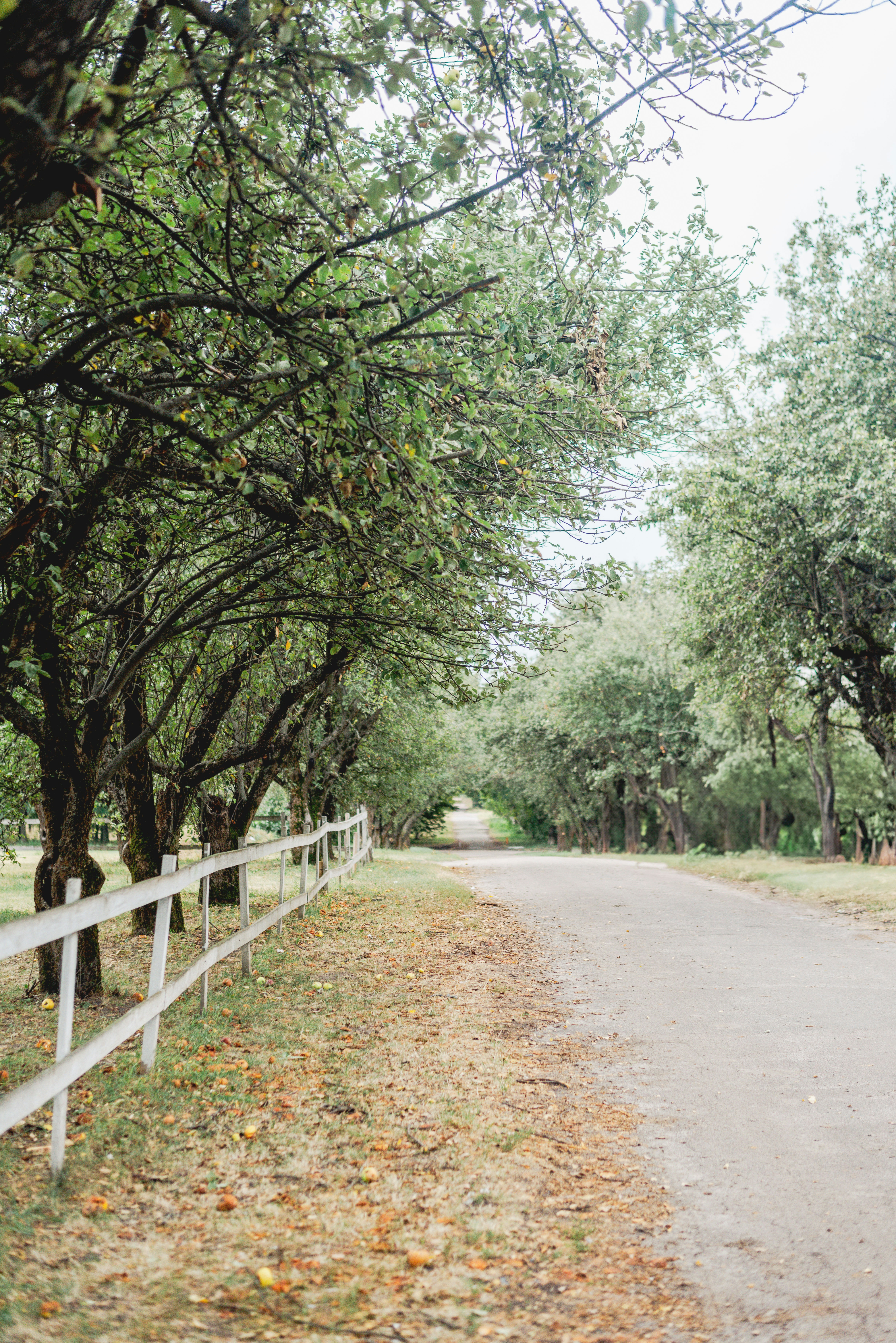 Photo by eugenivy_now