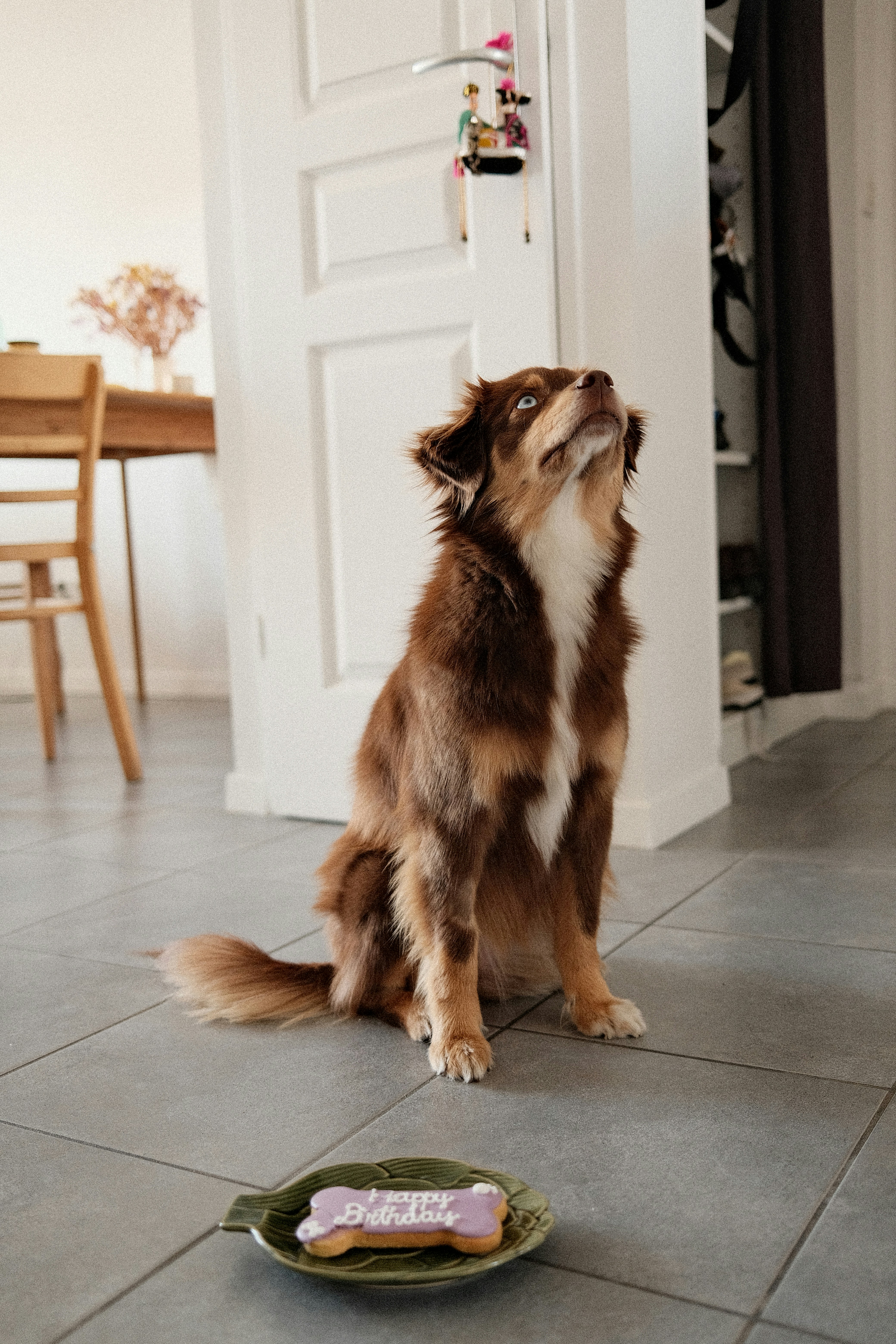 14. They Refuse Treats From You (image credits: unsplash)