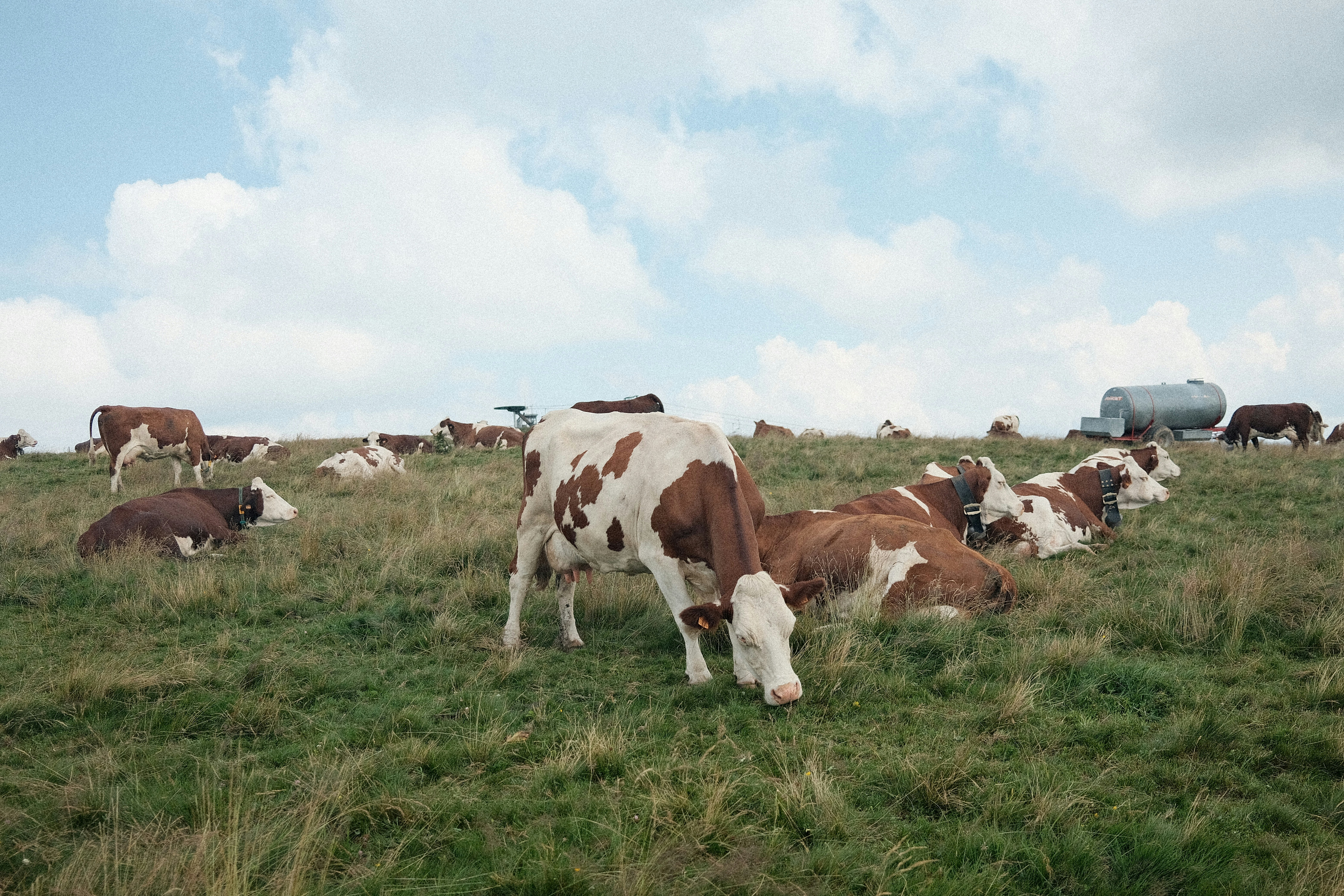 Photo by valentinlacoste