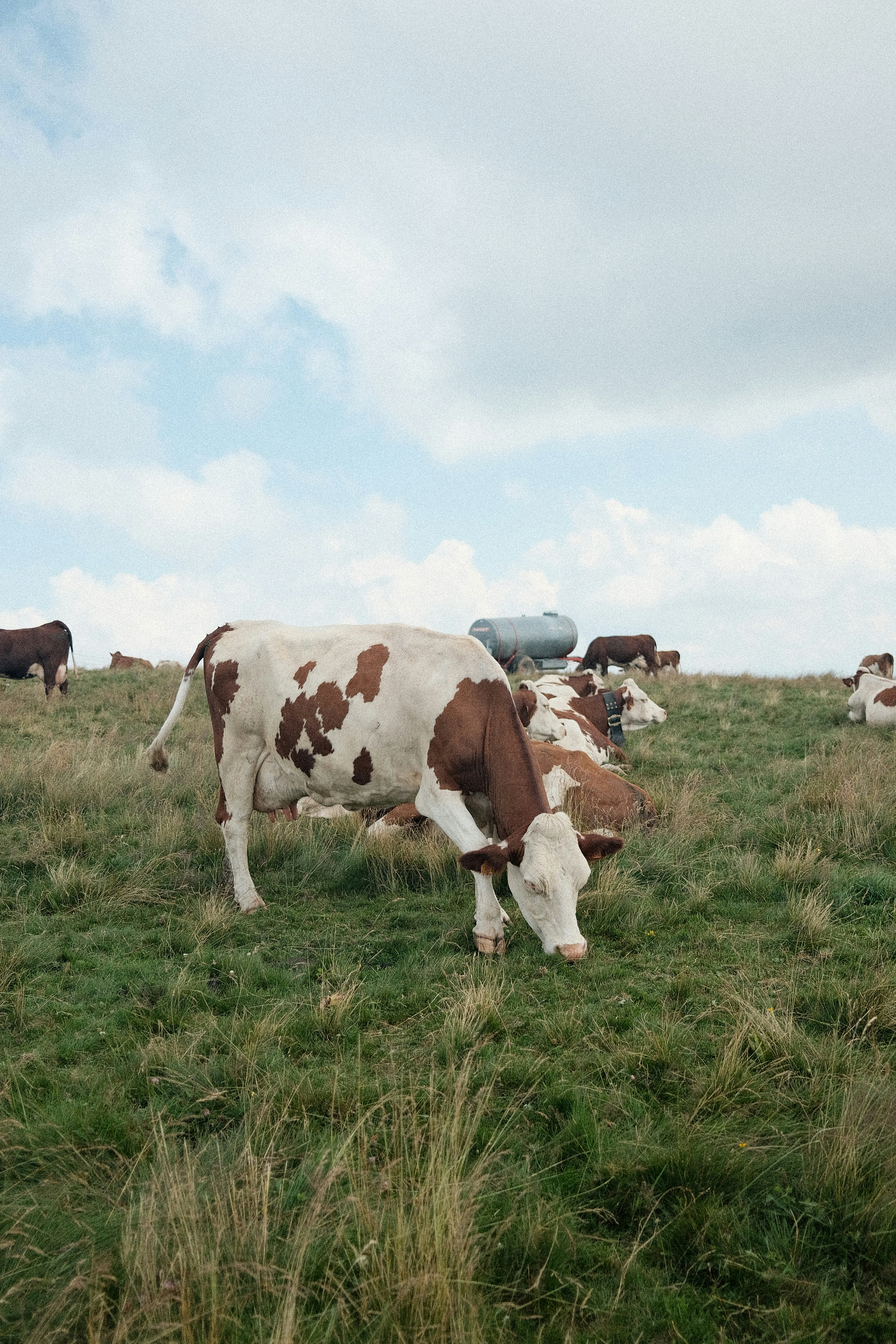 Photo by valentinlacoste