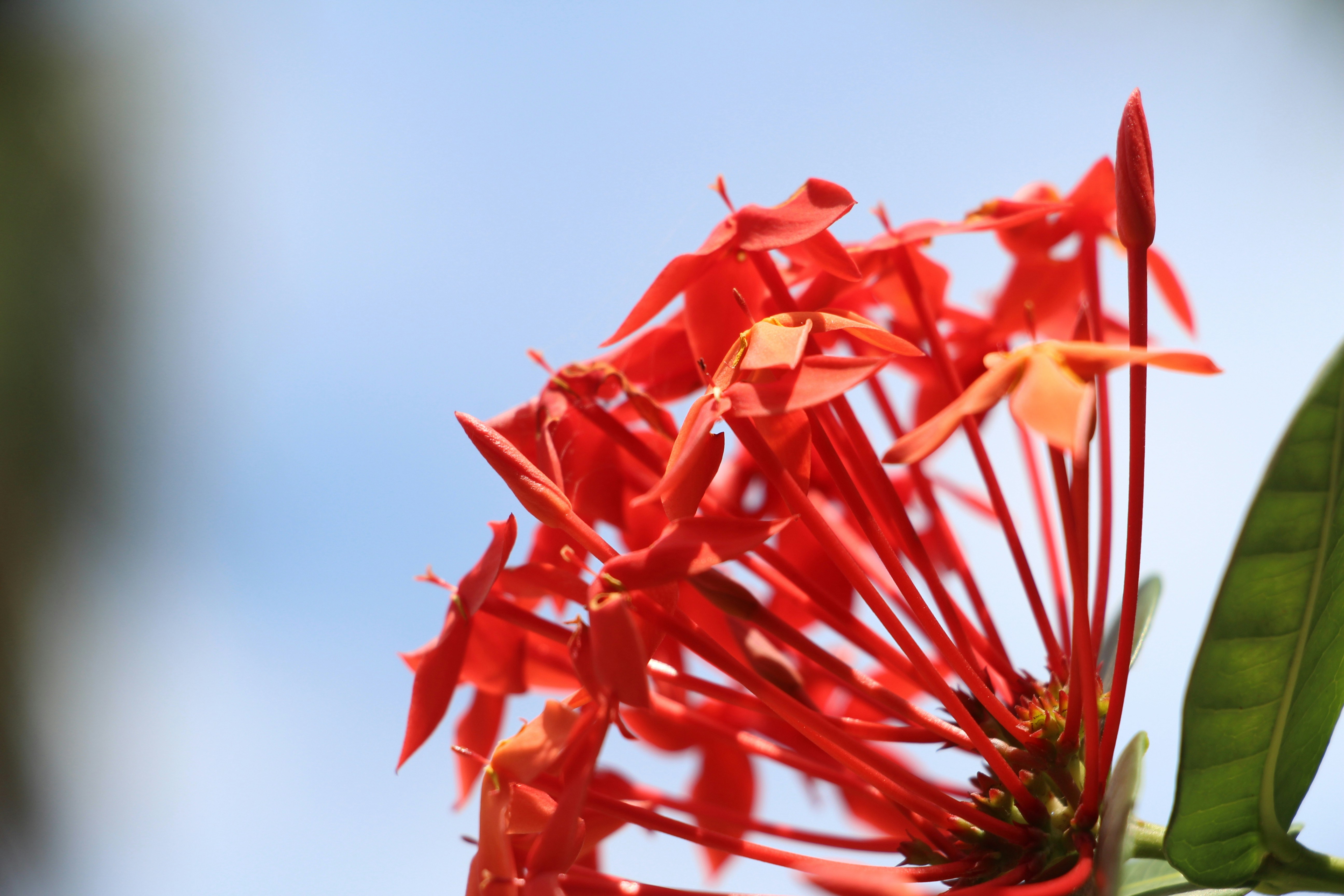 Photo by naturaleza_general