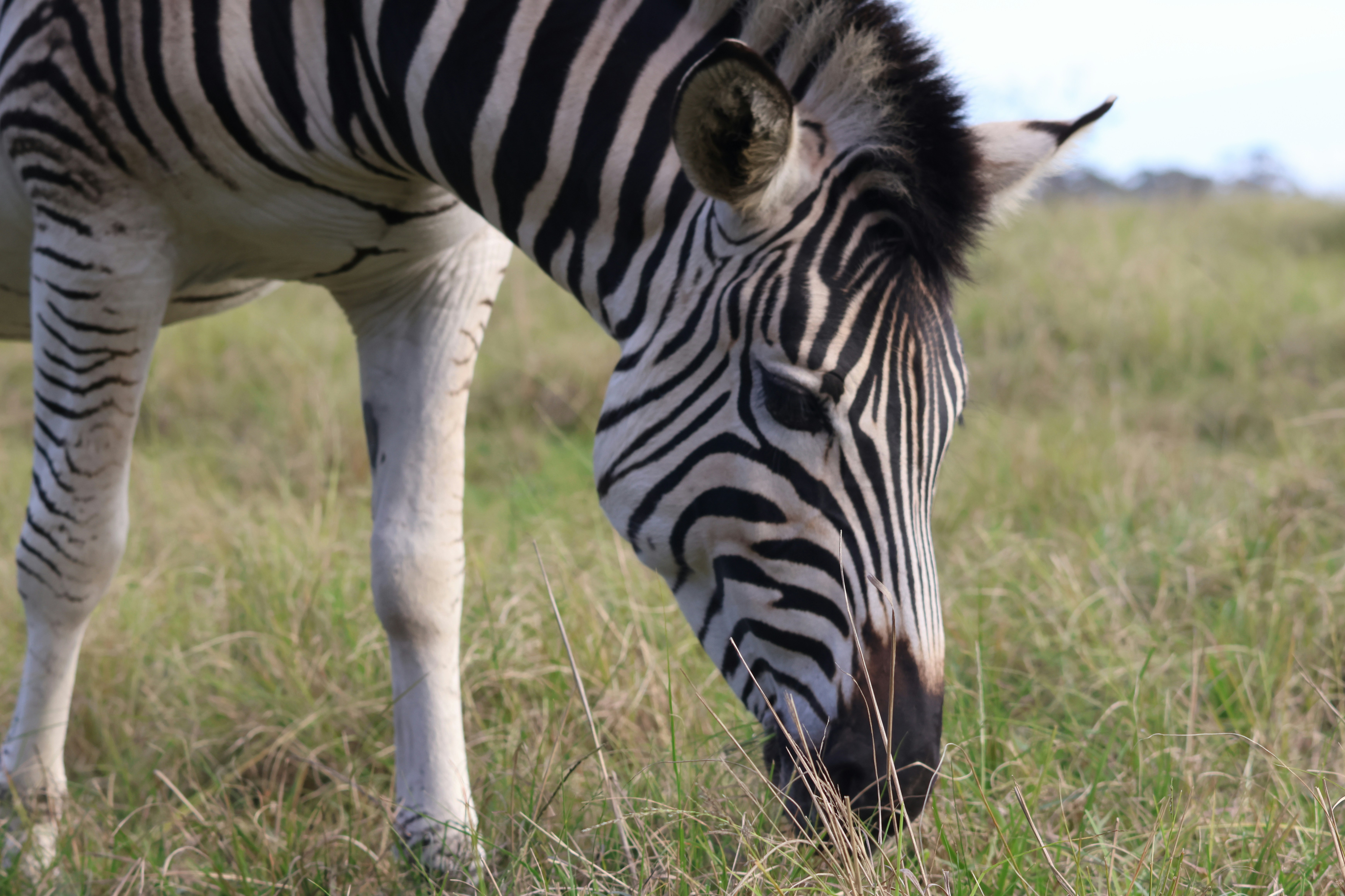 Photo by aryatulsyan