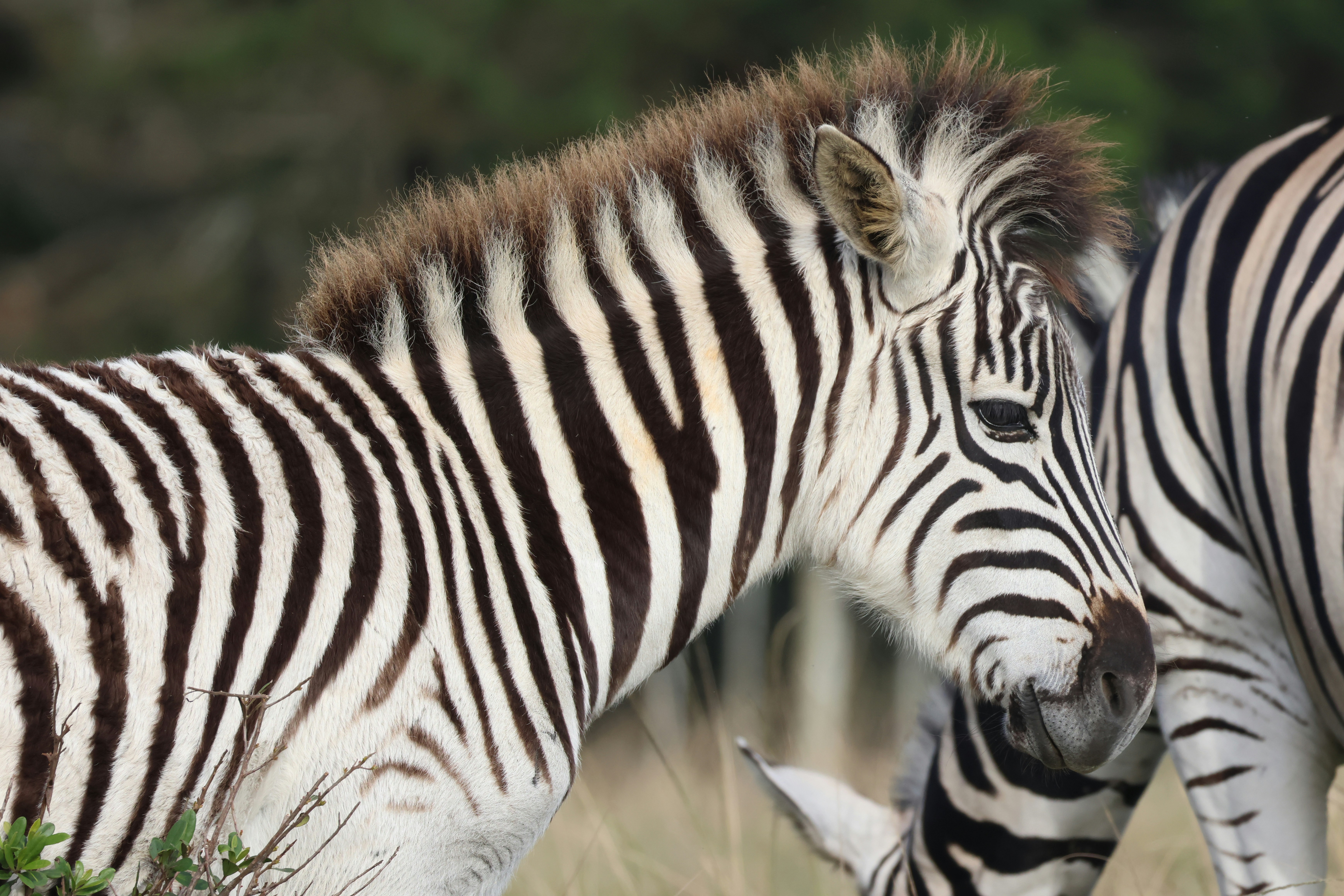 Photo by aryatulsyan