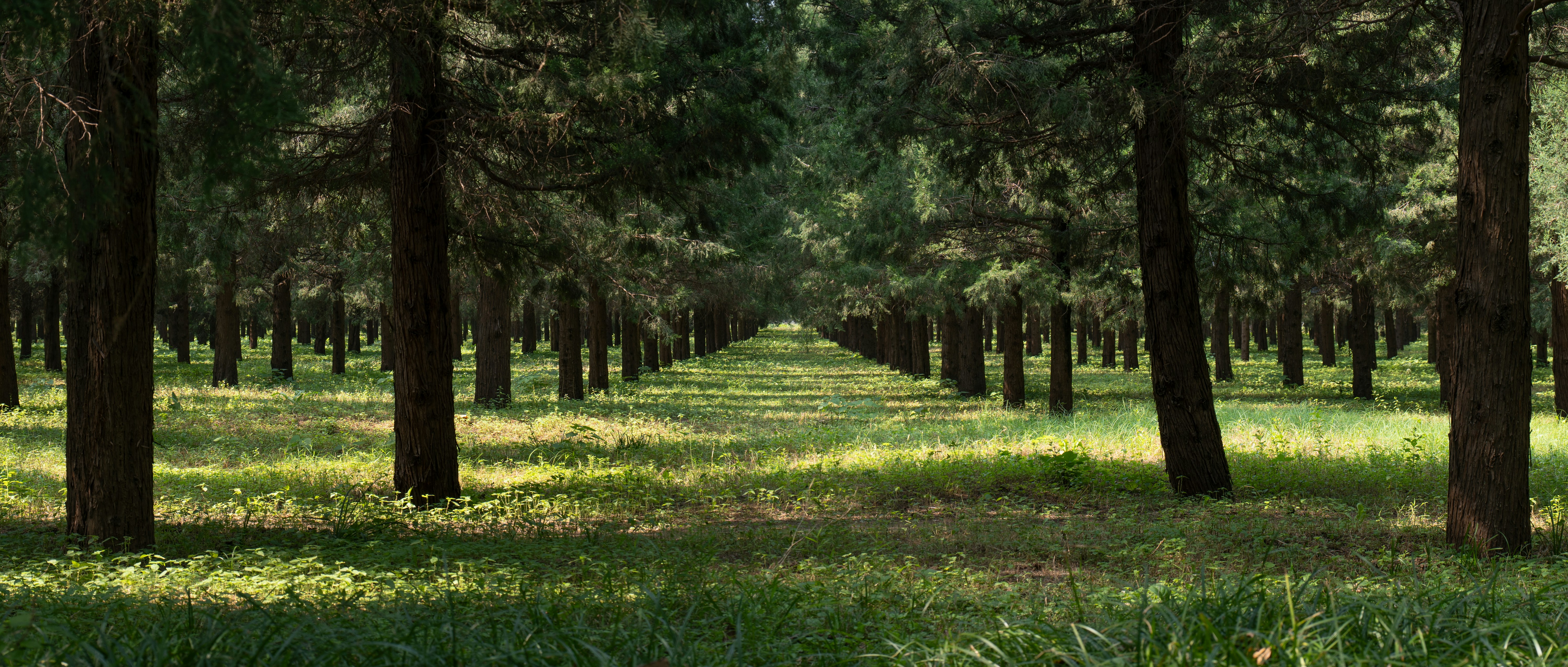 Photo by jerry_chen_