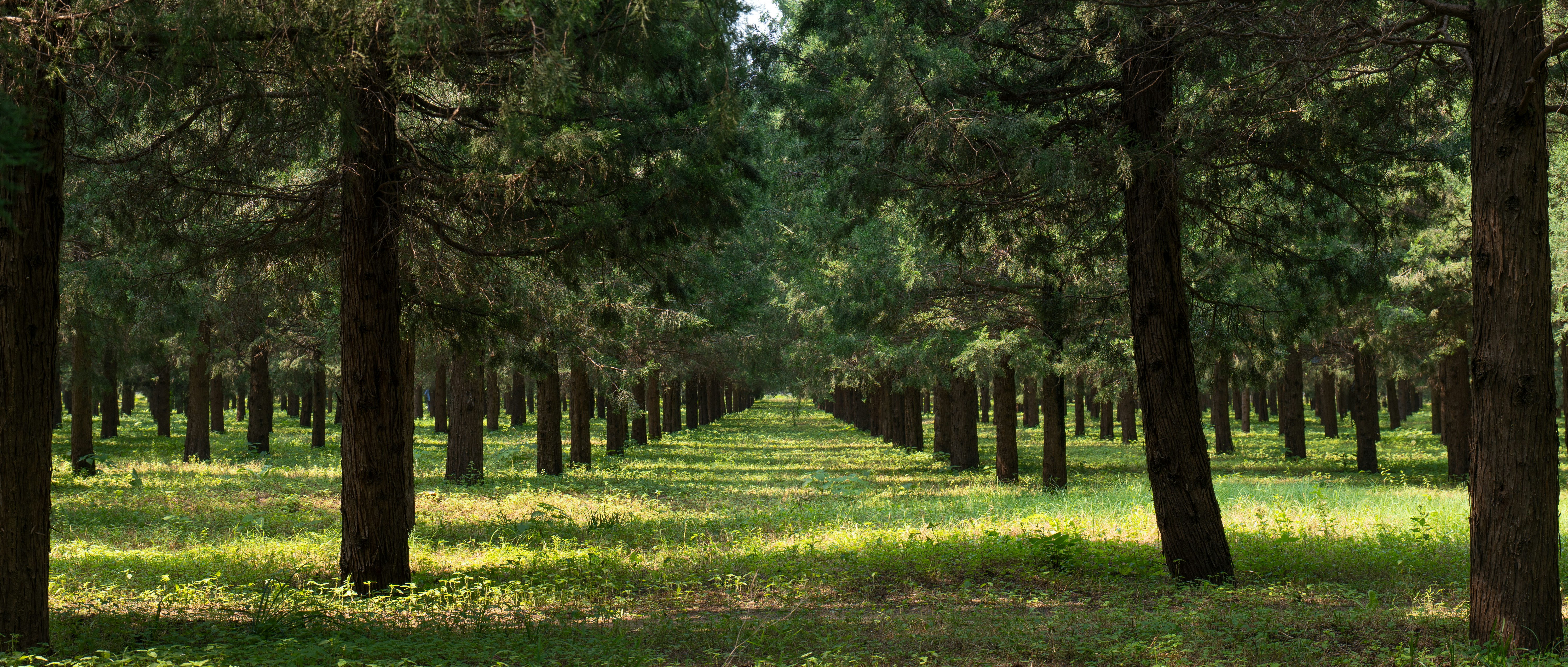 Photo by jerry_chen_