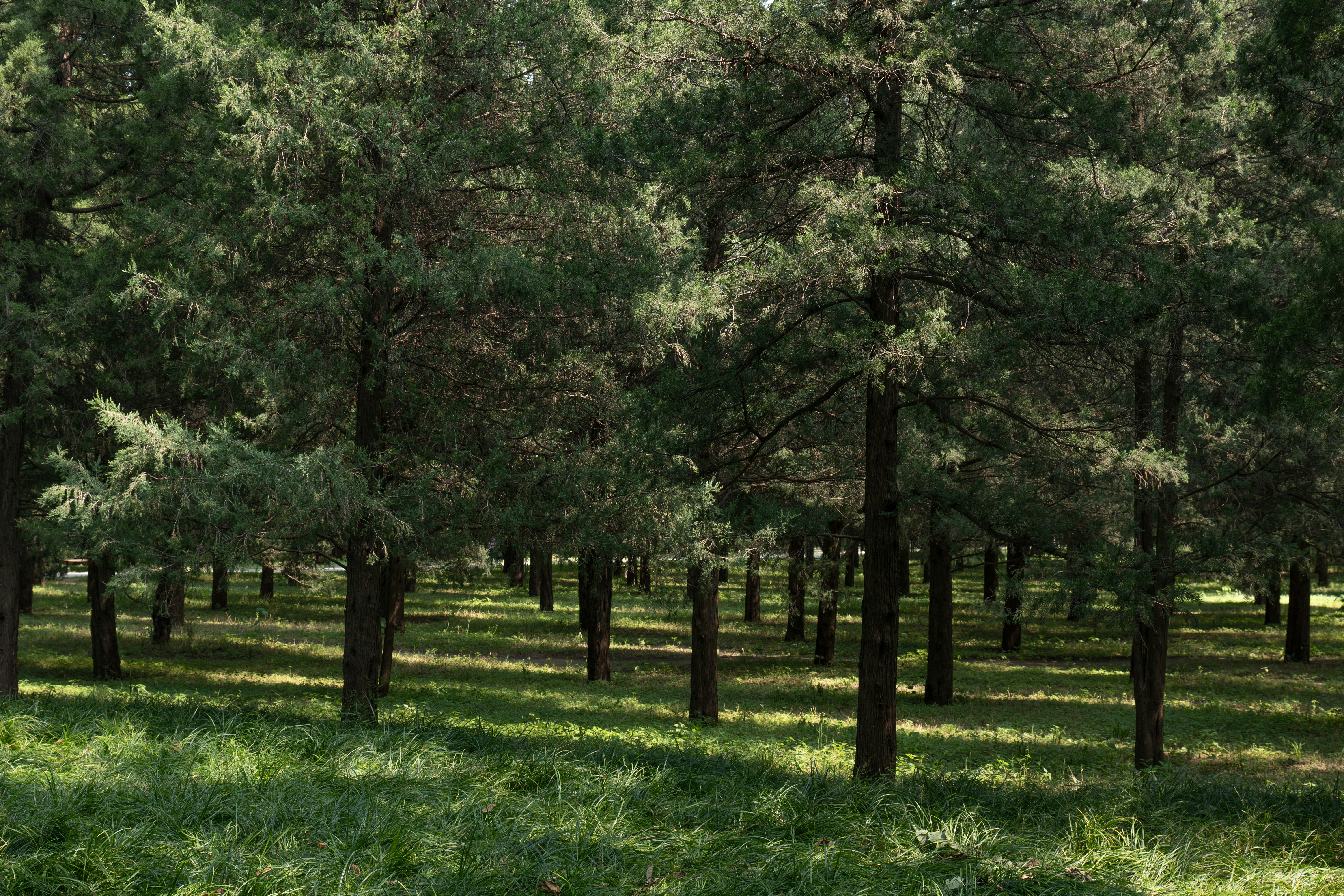 Photo by jerry_chen_