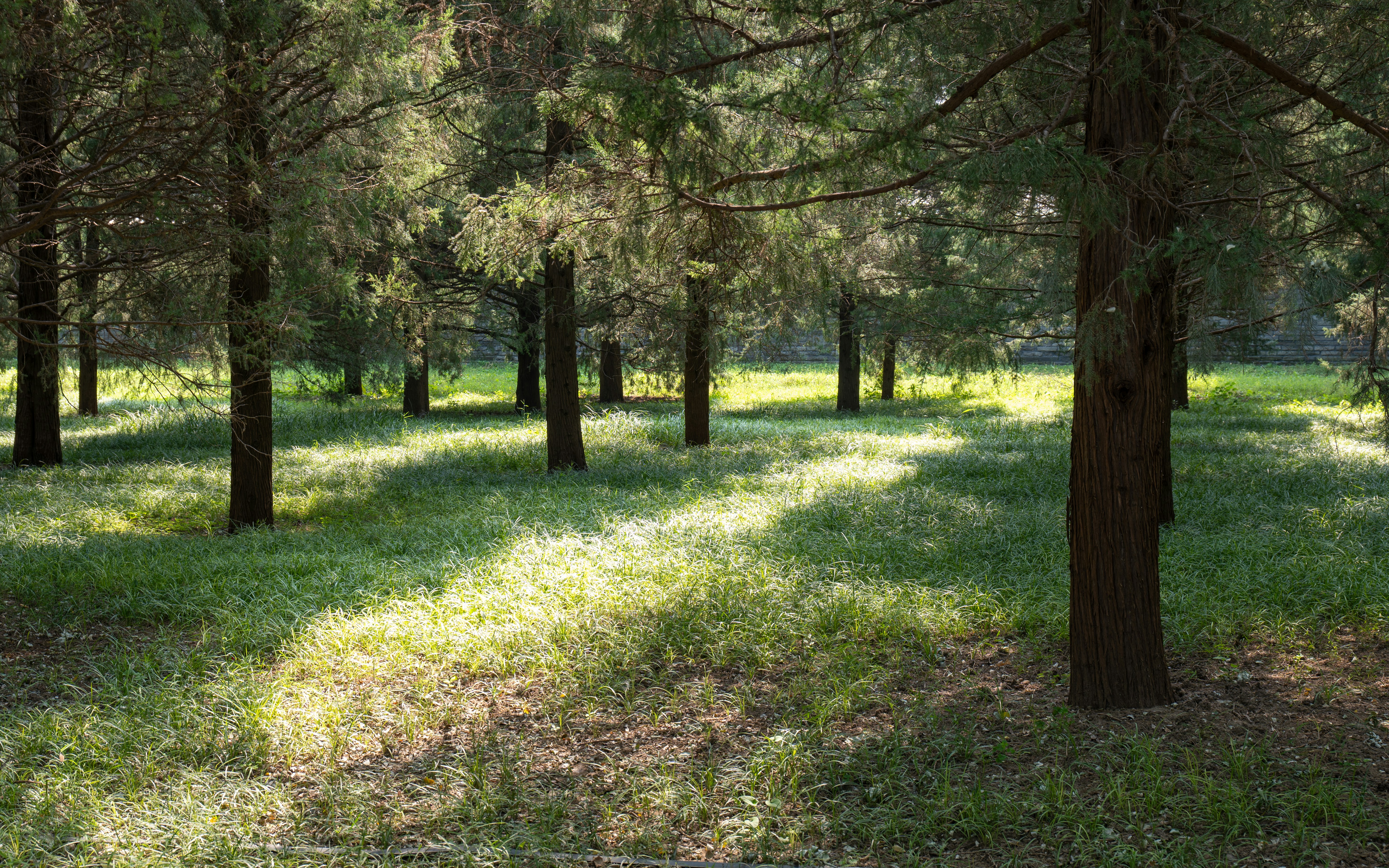 Photo by jerry_chen_