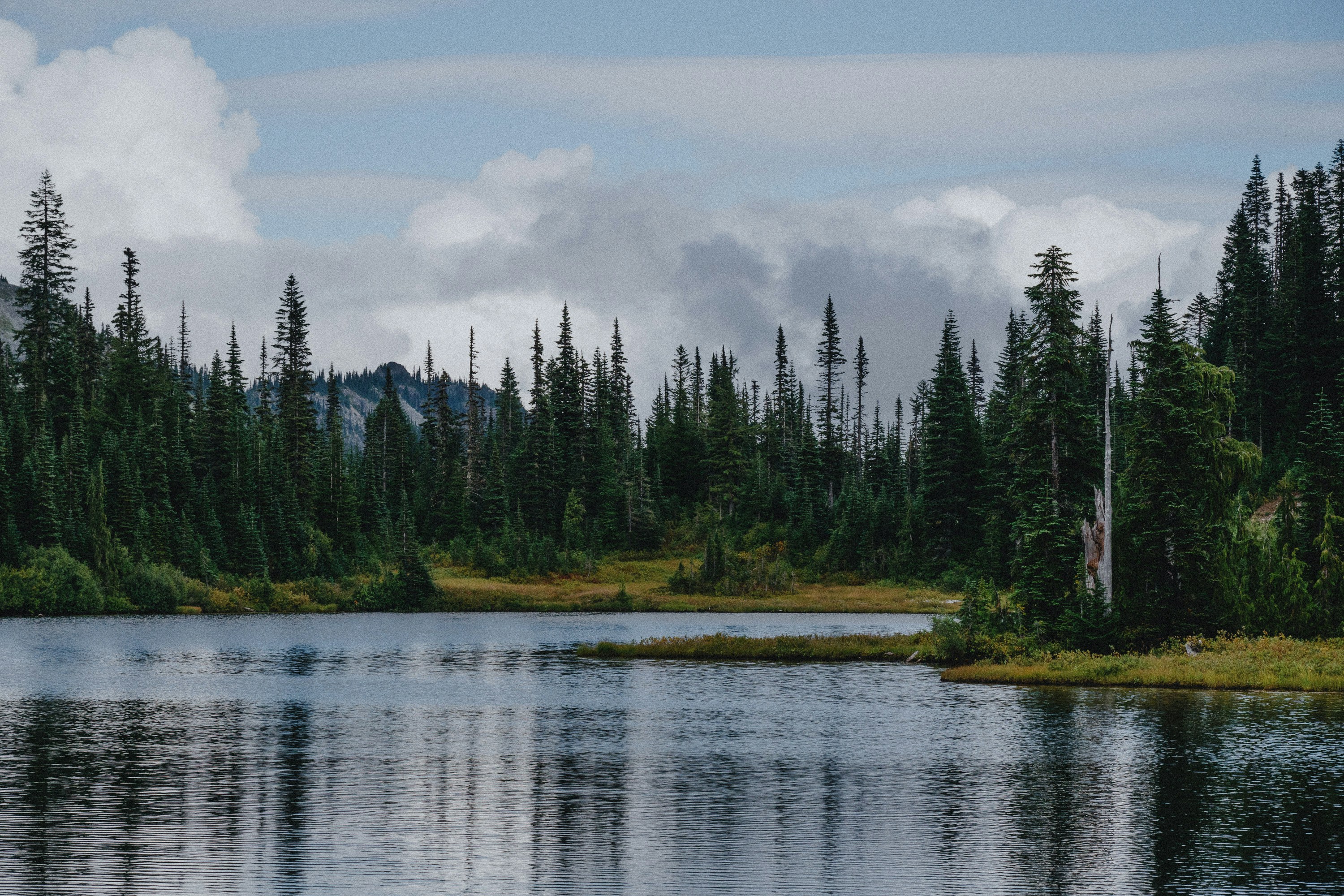 Photo by cedricletsch