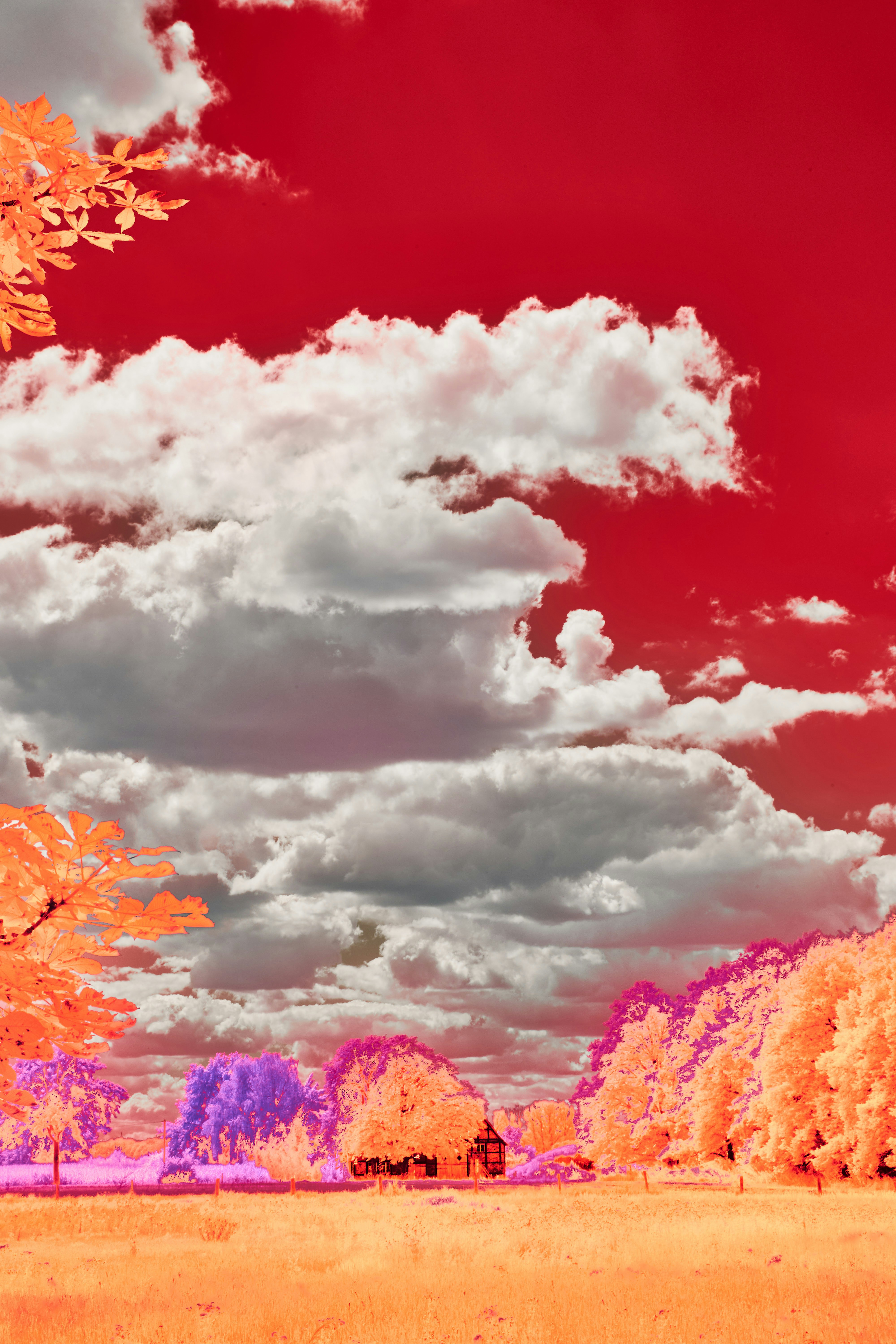 Photo by wolfgang_hasselmann