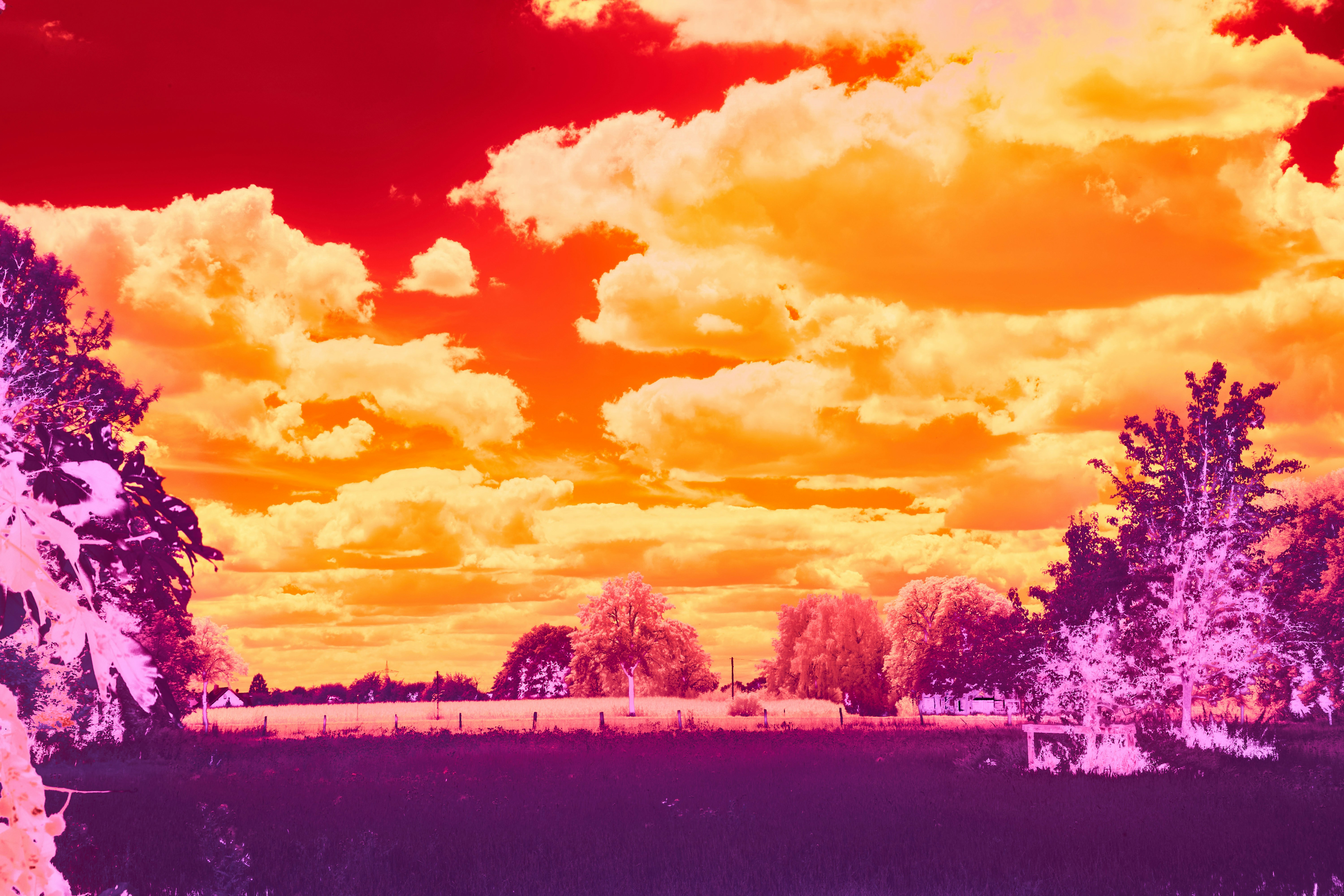 Photo by wolfgang_hasselmann