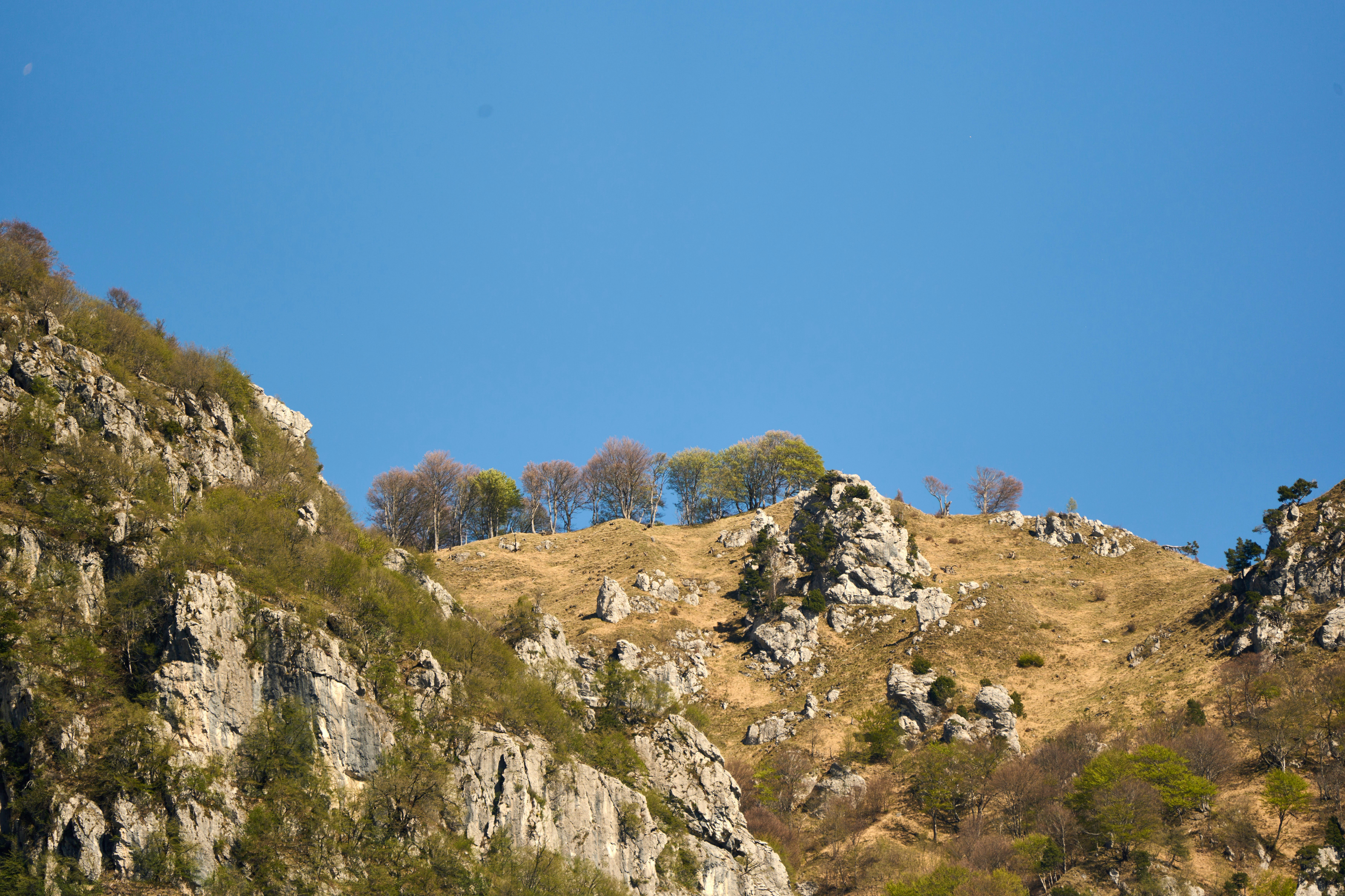 Photo by wolfgang_hasselmann