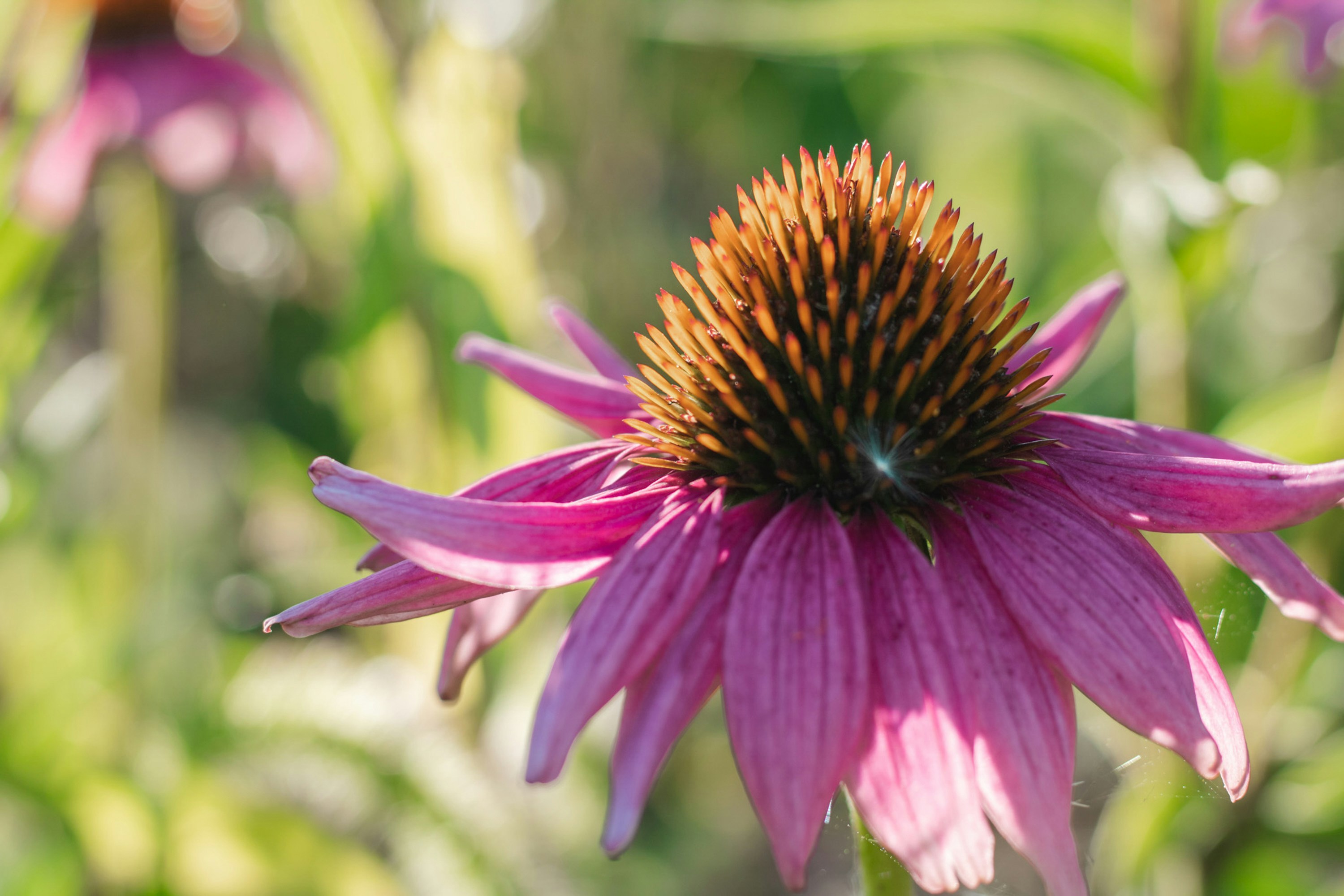 Photo by taliakolecki